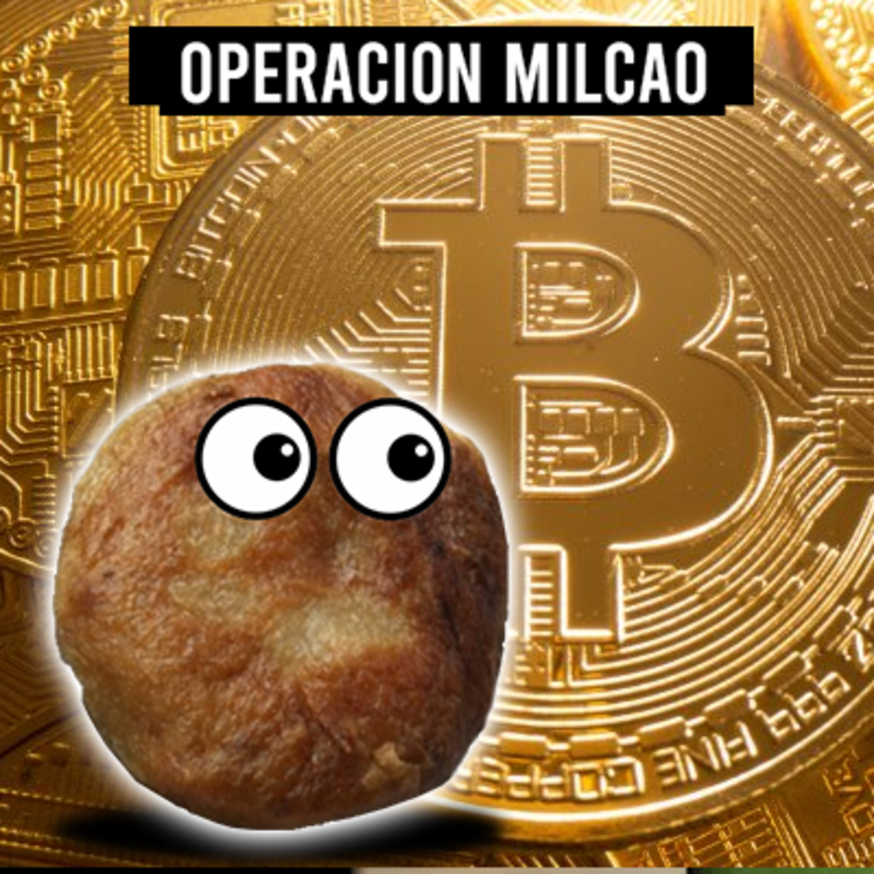 Operación Milcao