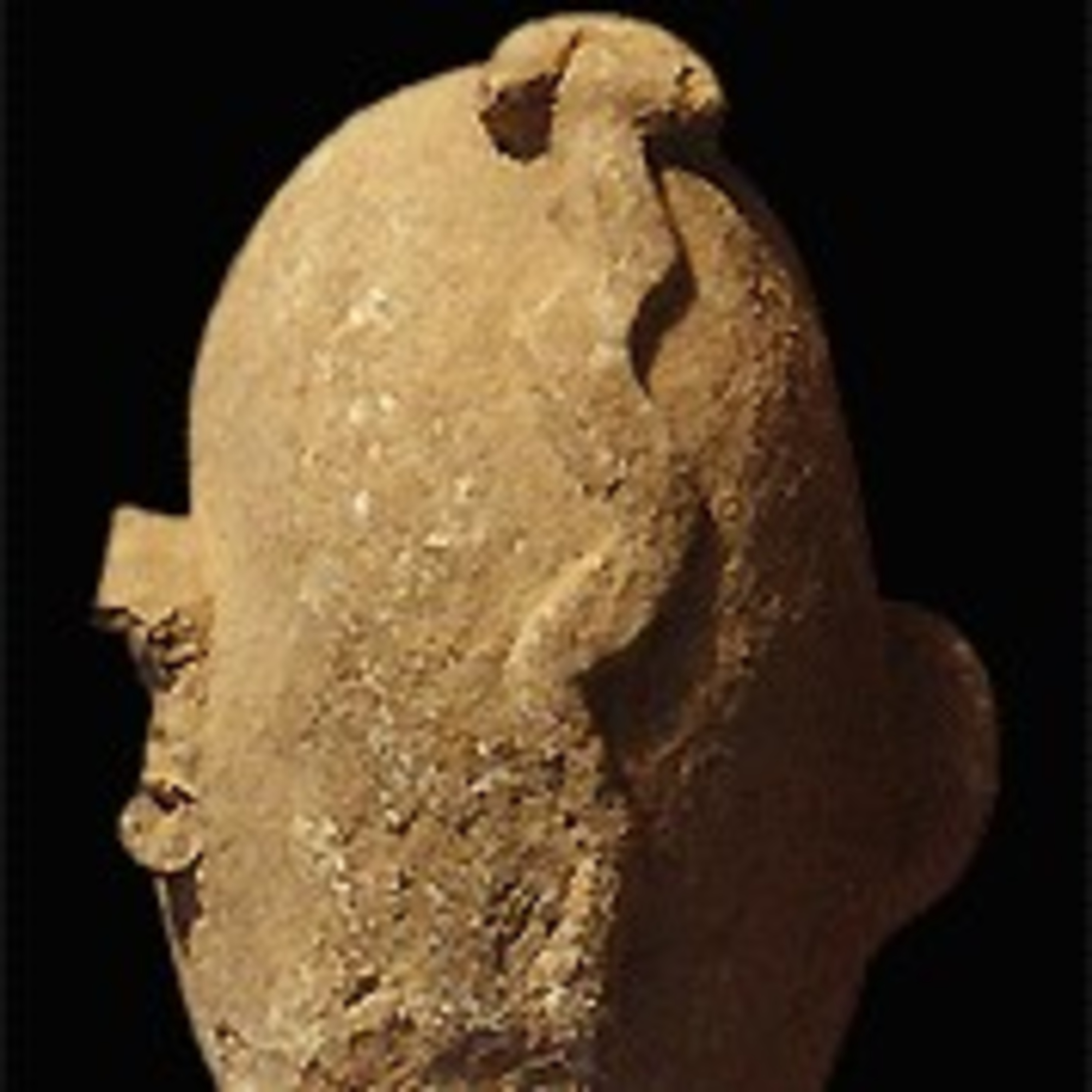 Oldest Temple in The World Gobekli Tepe Turkey Built By Brahmins?