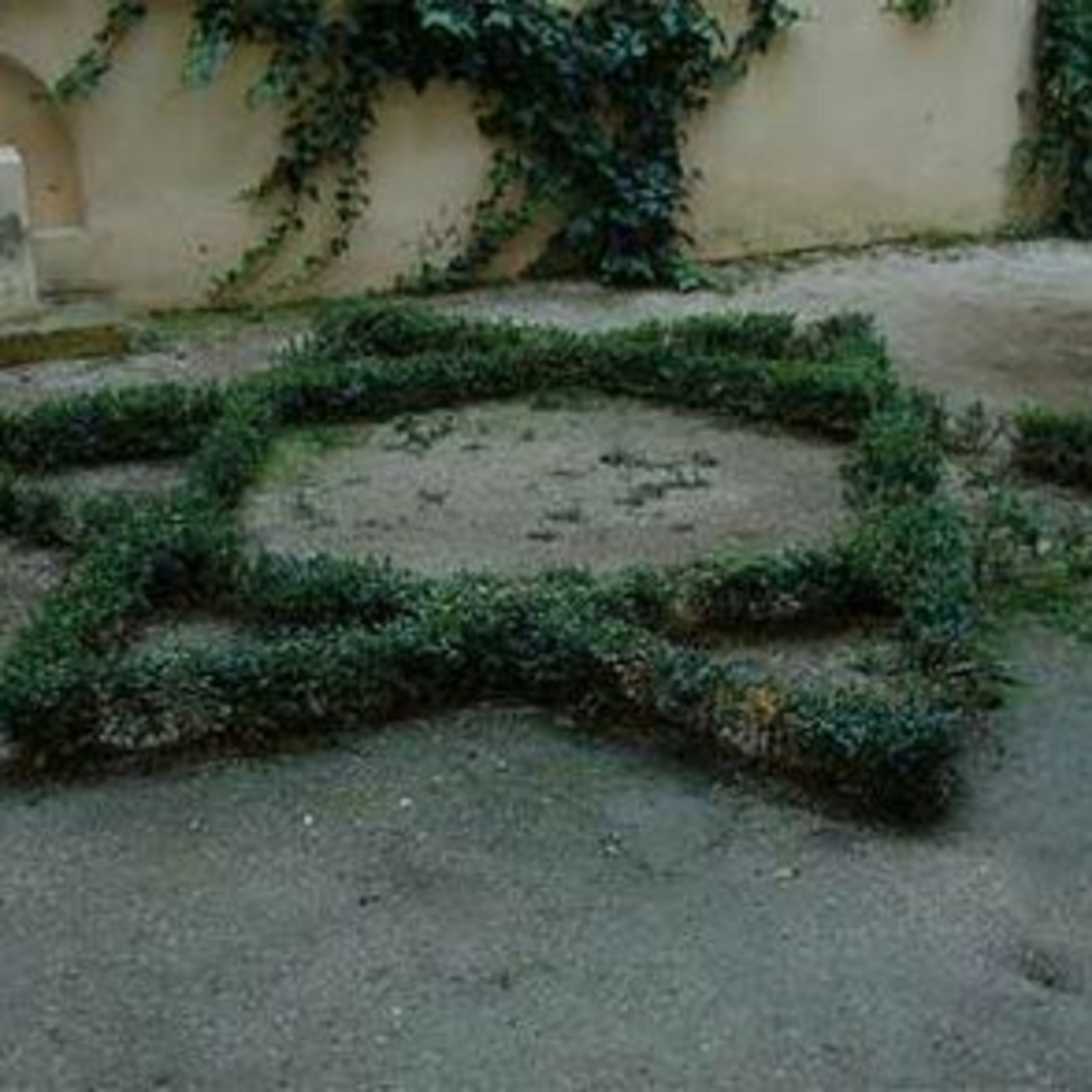 Jews Descendants of Yadavas Star of David Tantric Symbol Noah Manu