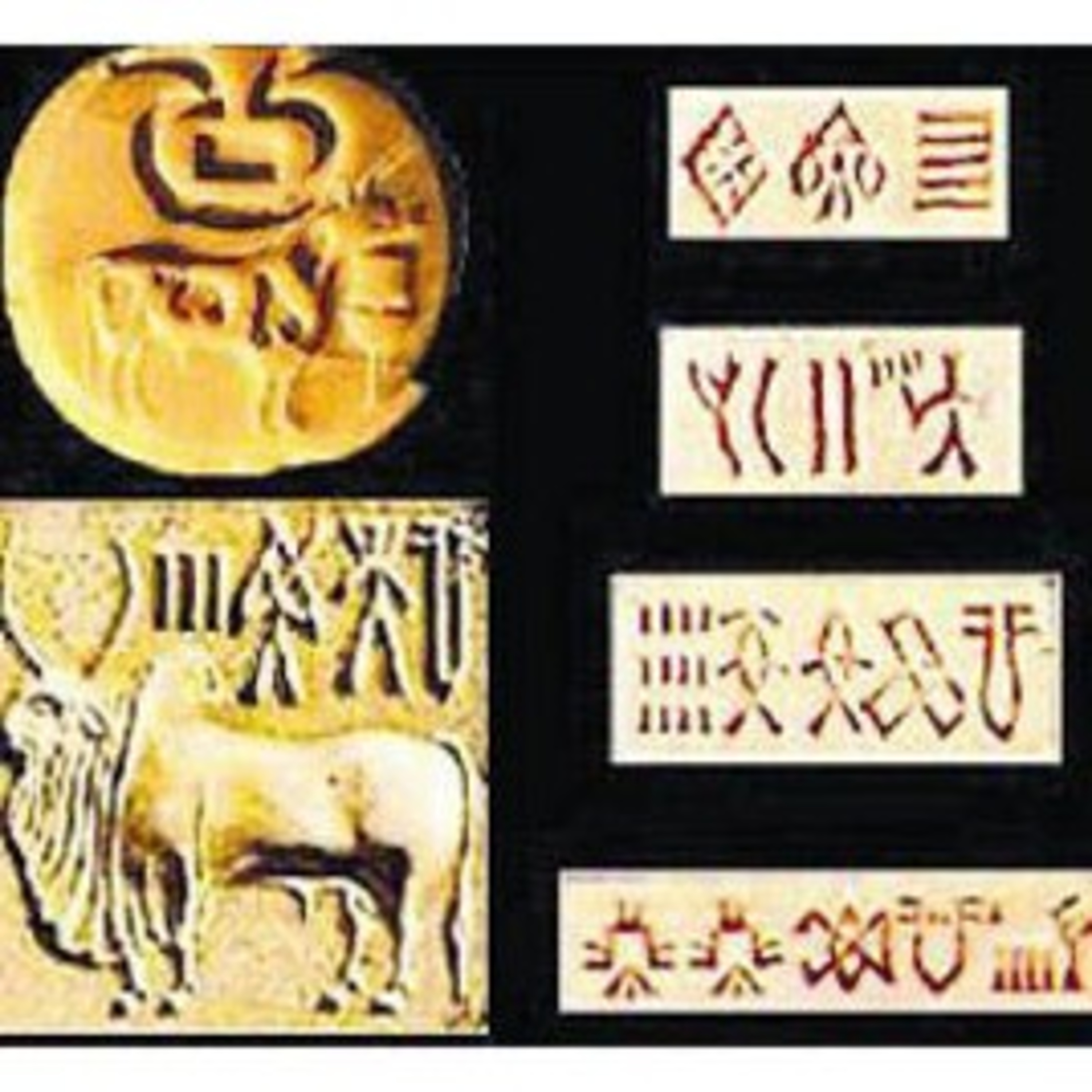 Wireless Genetics DNA Quantum Field In Vedas Mohenjo Daro Seals