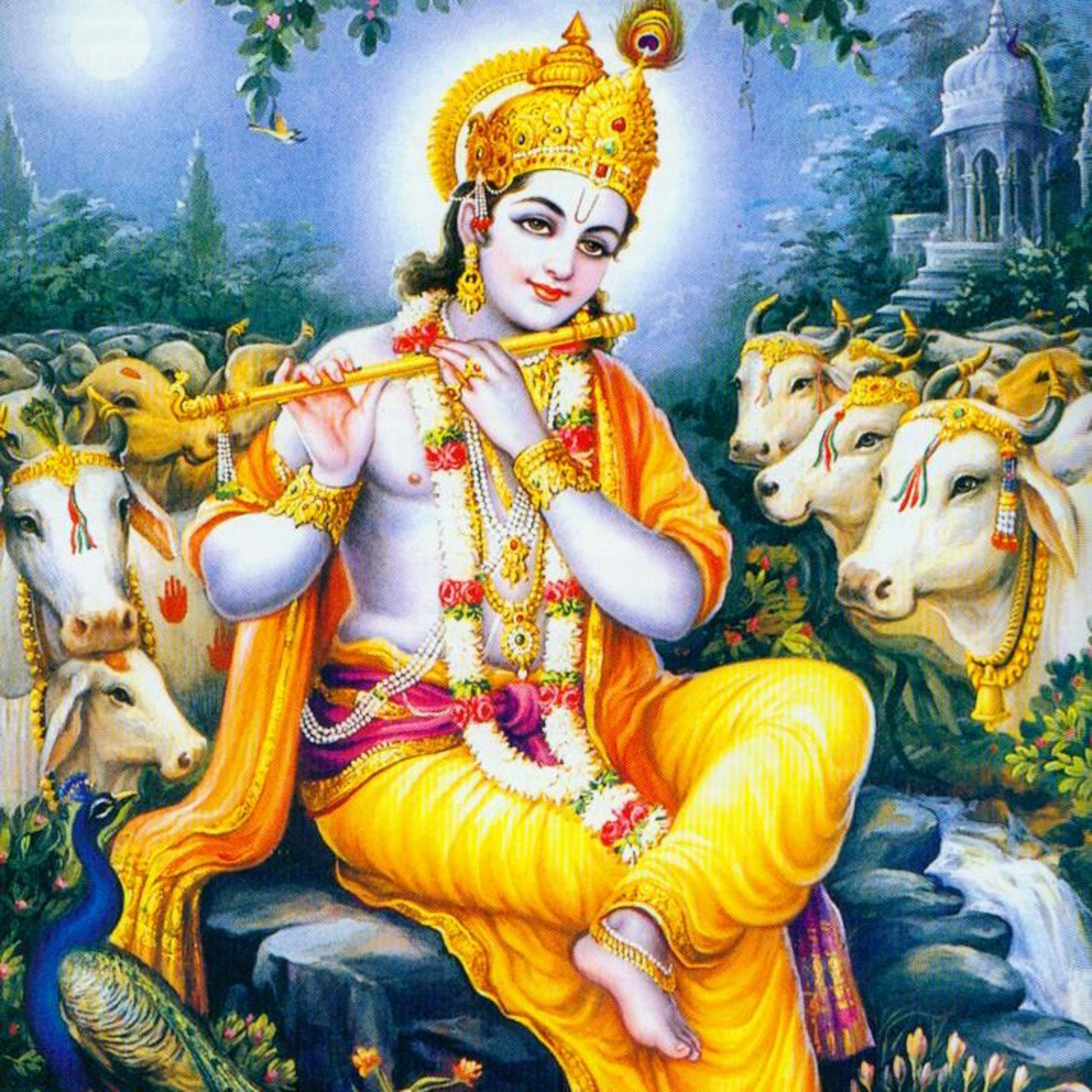Who Performed The Last Rites of Krishna ?