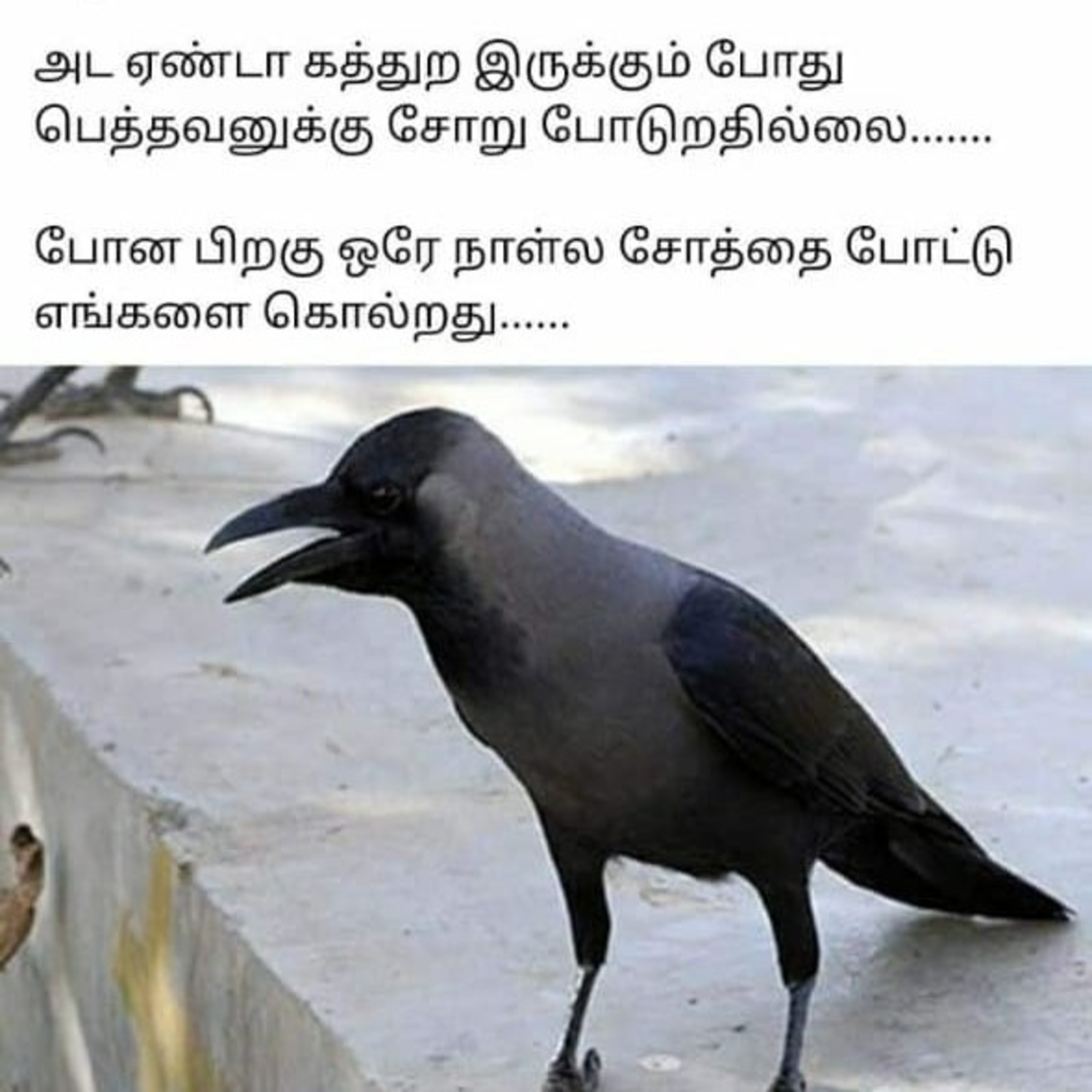 Amavasya Tharpana Procedure Mantras Yajurveda In English Tamil