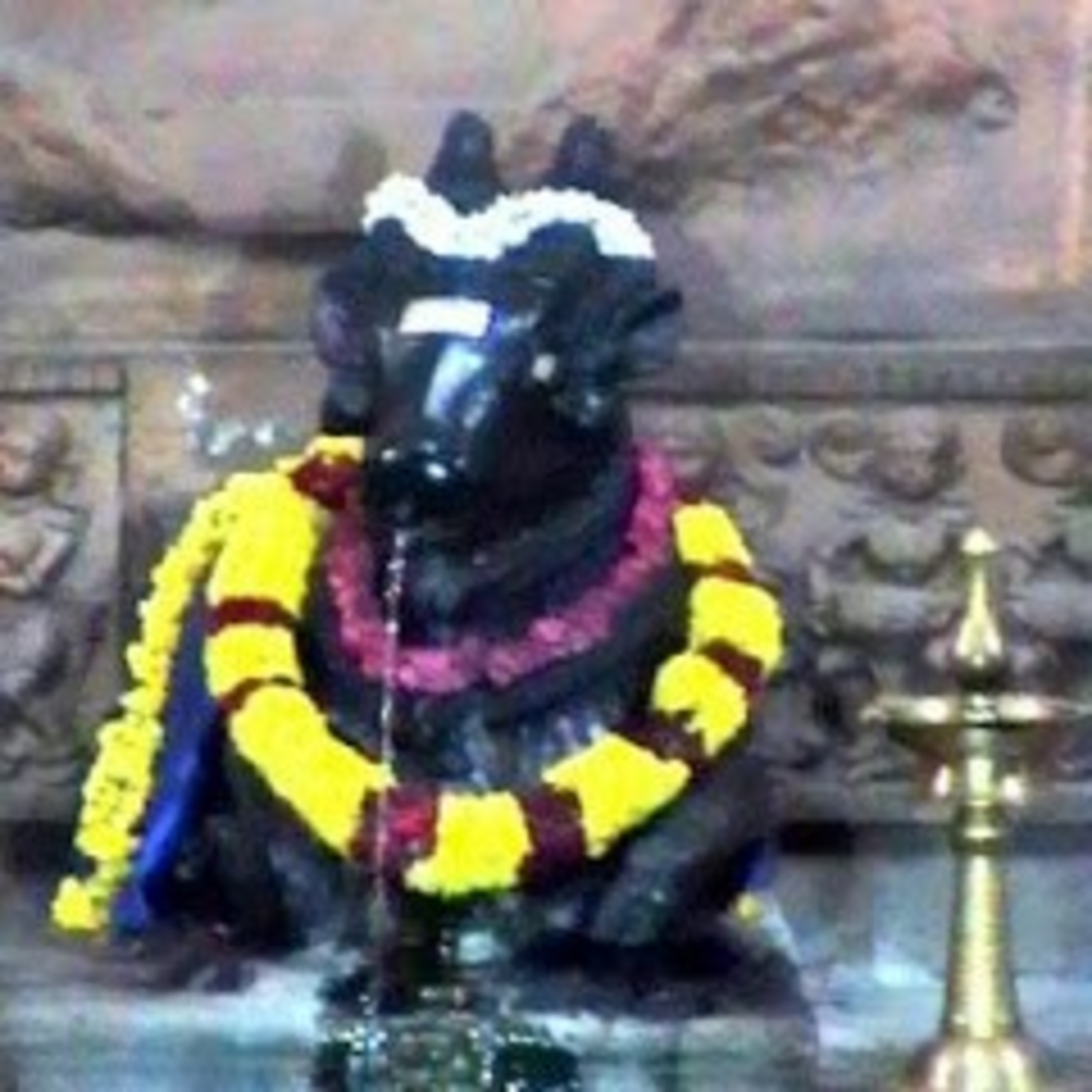 7000 Year old Siva Temple Bangalore? Perennial Water Flows From Bull's / Nandi's Mouth