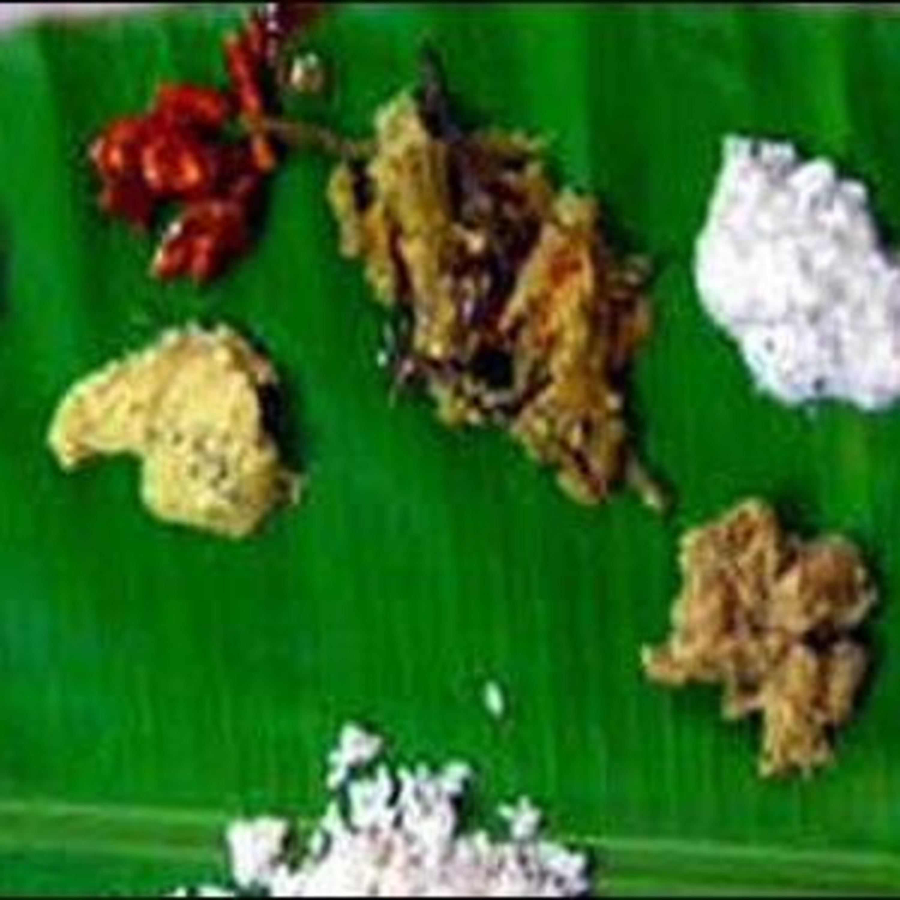 Mahalaya,Pitru Paksha Diet for Calmer Mind Mental Well Being Physical Fitness
