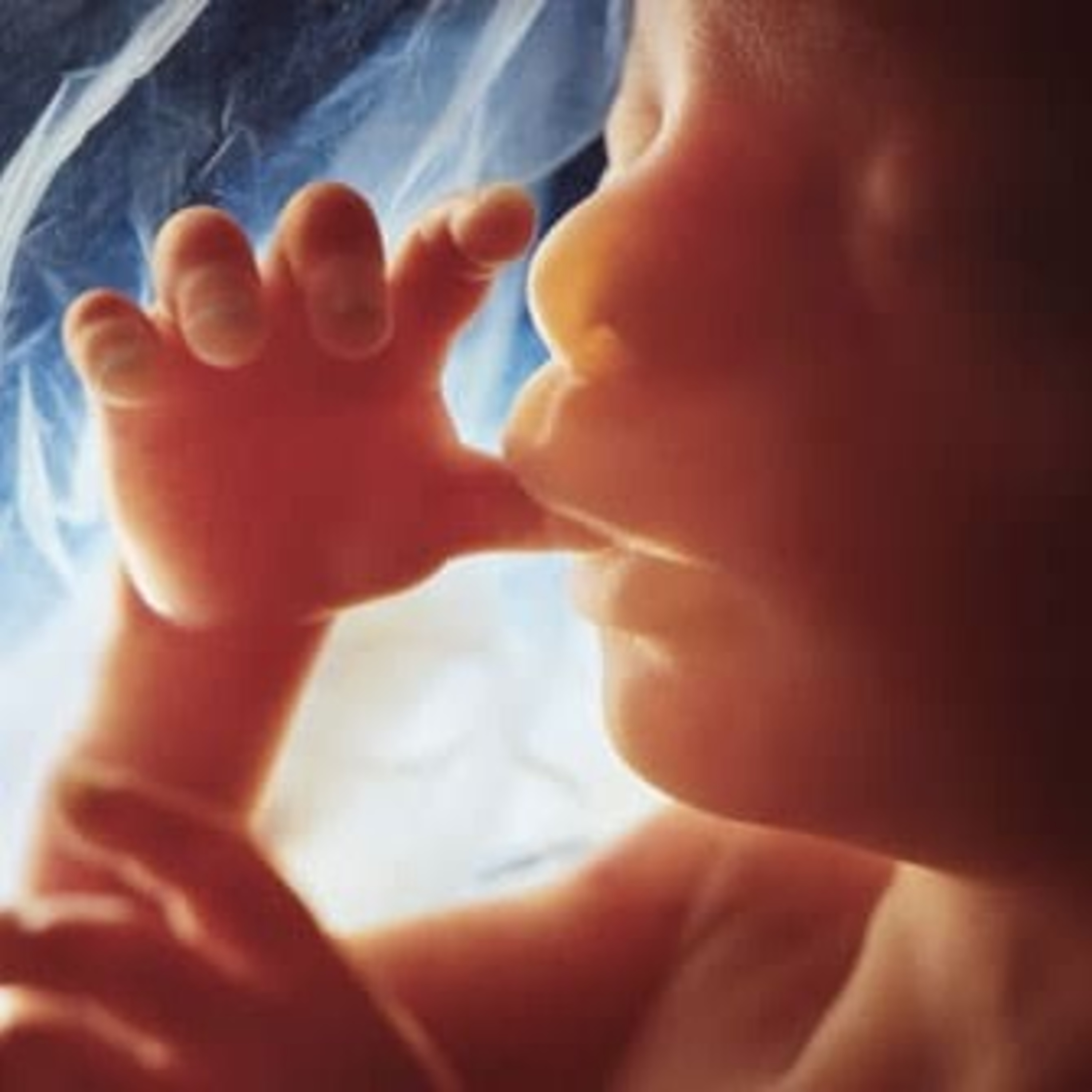 Babies Understand Intricate Accents in Uterus