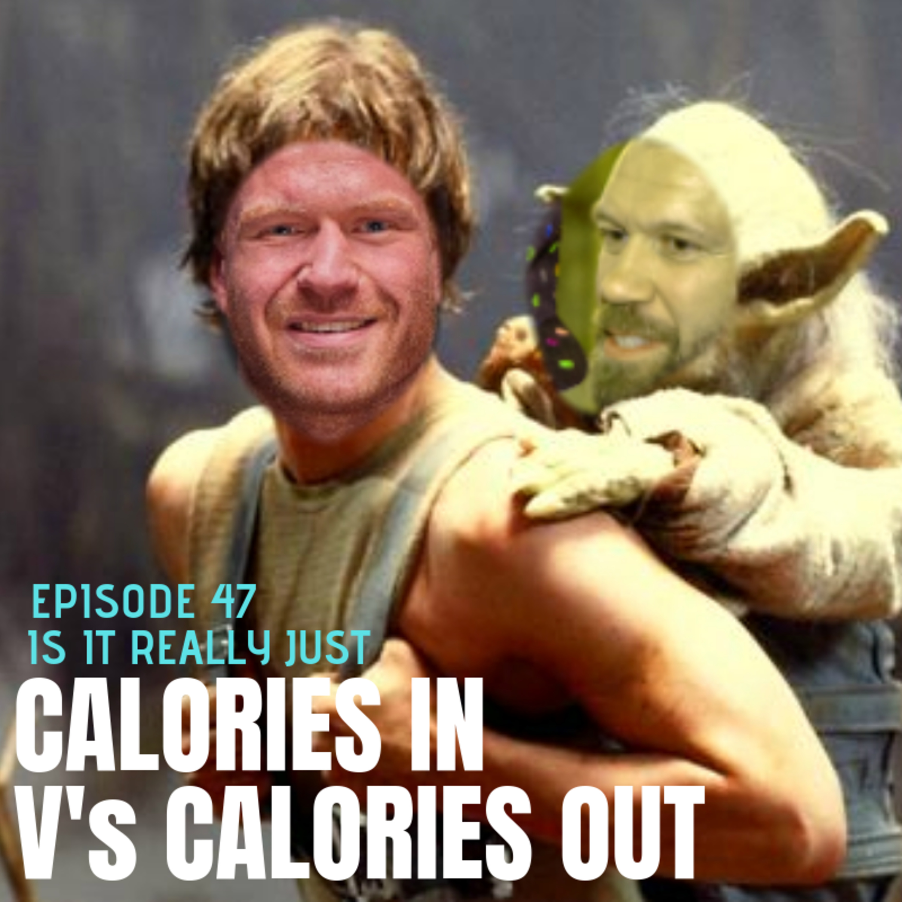 Episode 47 - Is it Really Just calories in V's Calories out? episode artwork