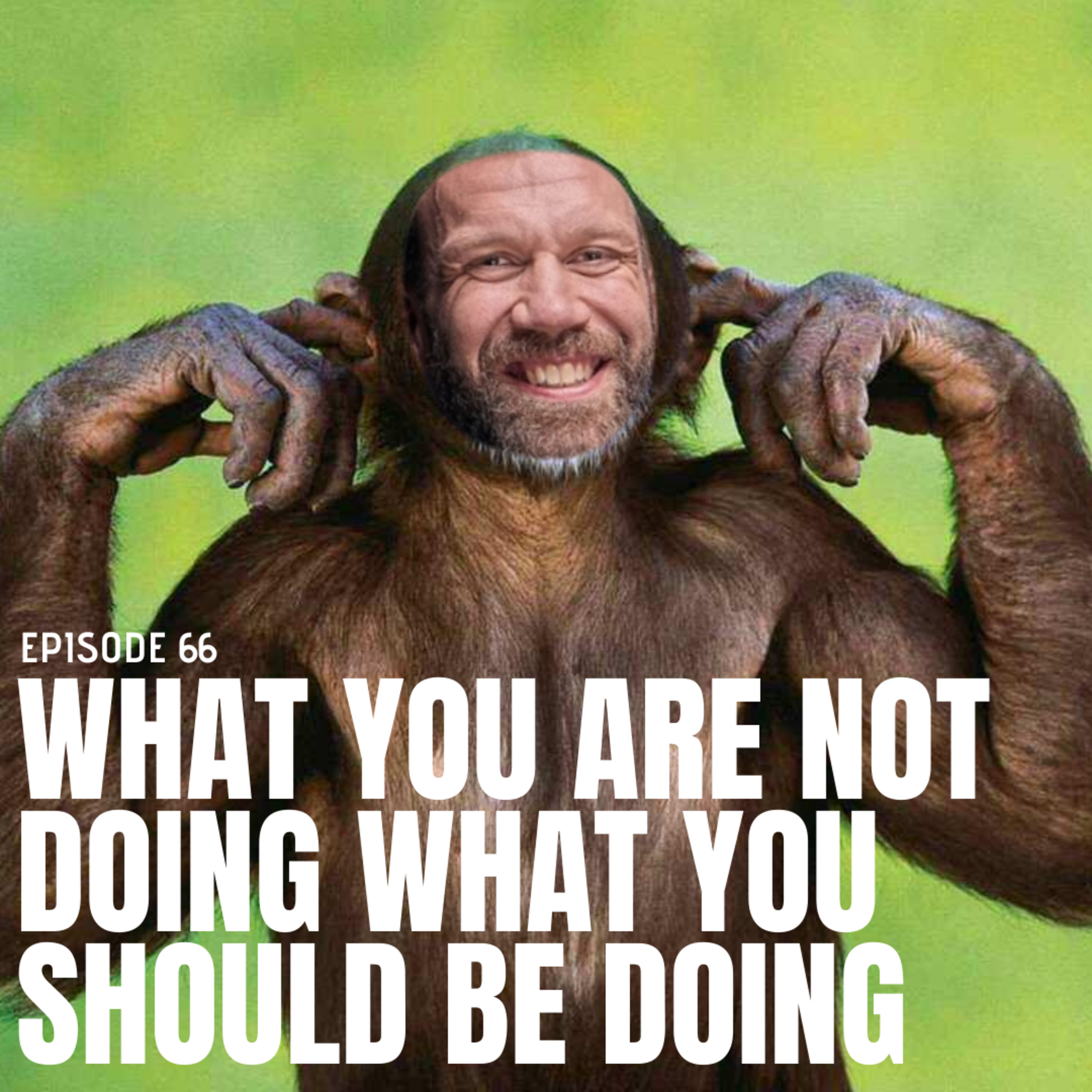 Episode 66 - Why you are NOT doing what you SHOULD be doing episode artwork