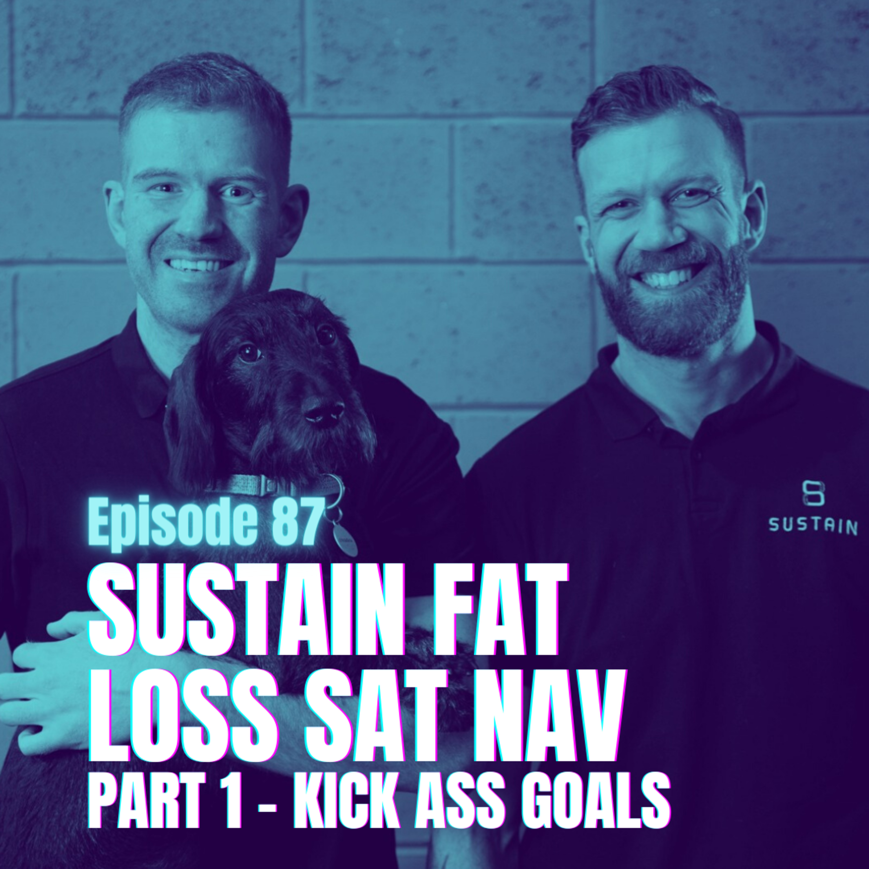 Episode 87 - Sustain Fat Loss Sat Nav Pt1 - Create Kick Ass Goals episode artwork