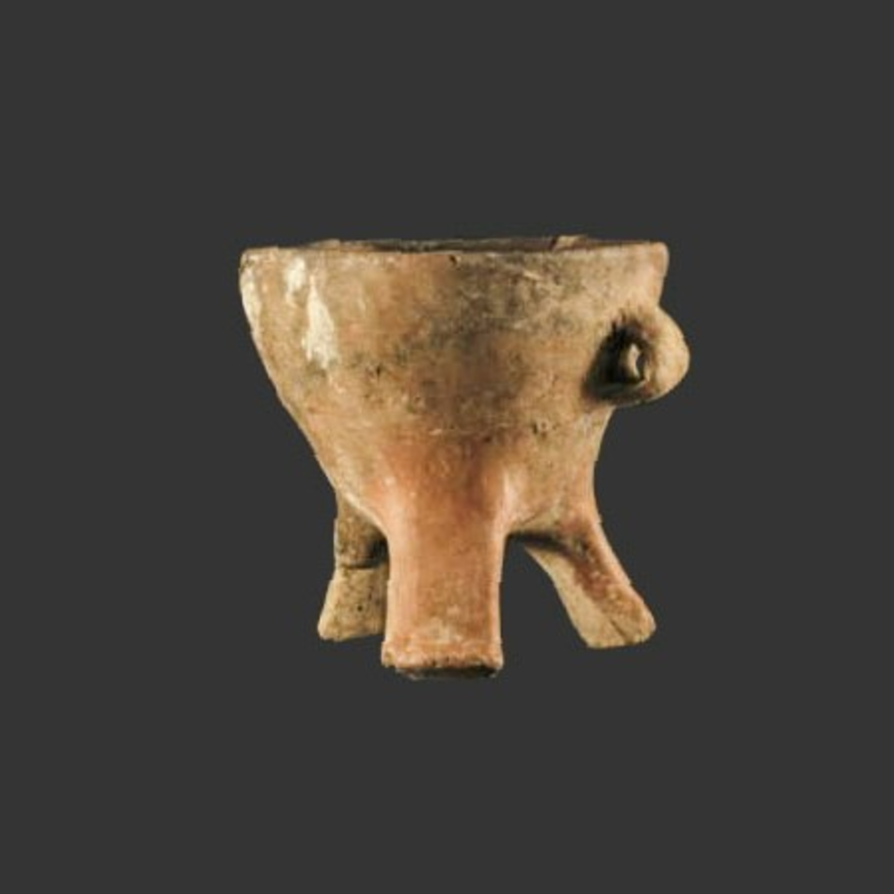 I podcast dell\'Antiquarium Arborense