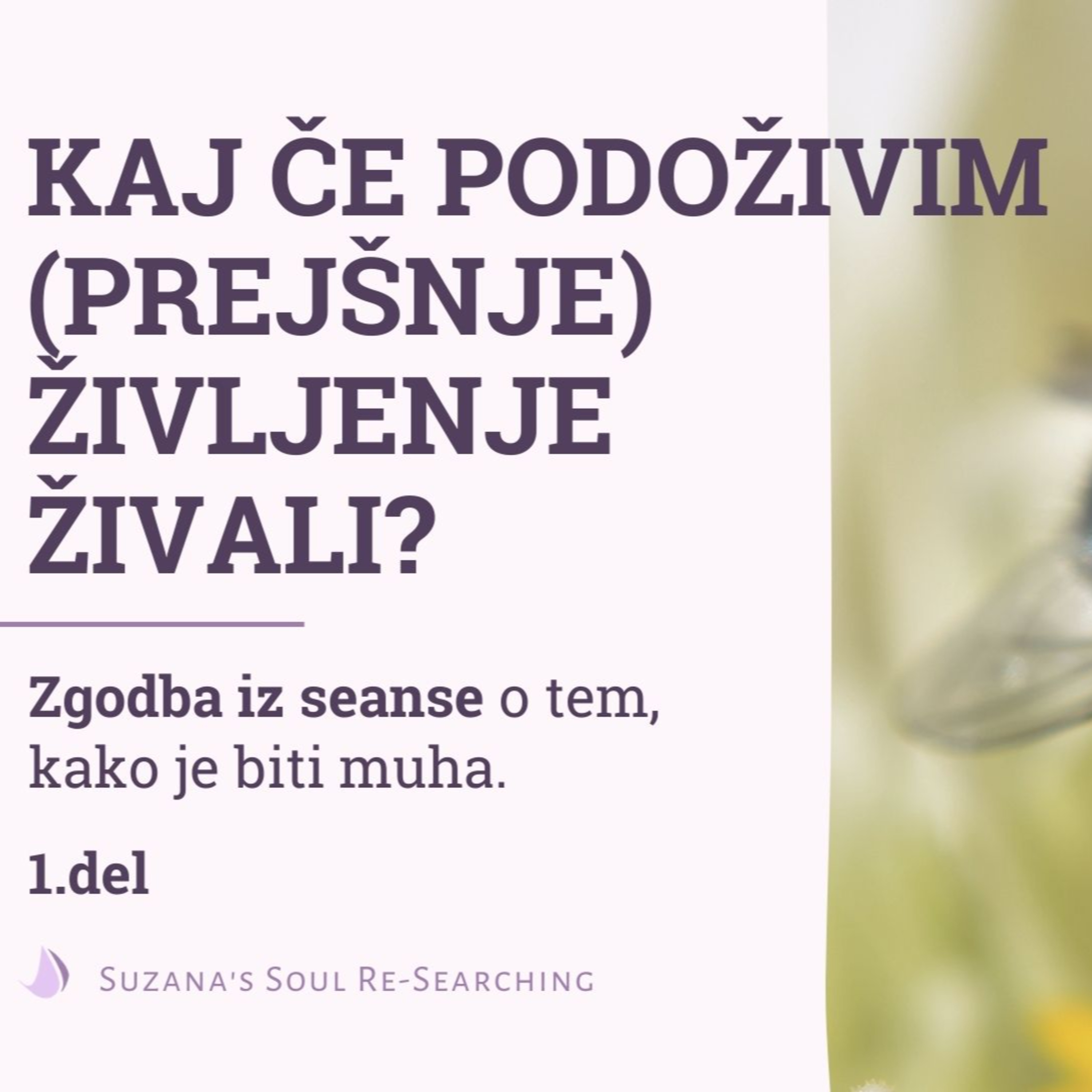 Suzana\'s Soul Re-Searching