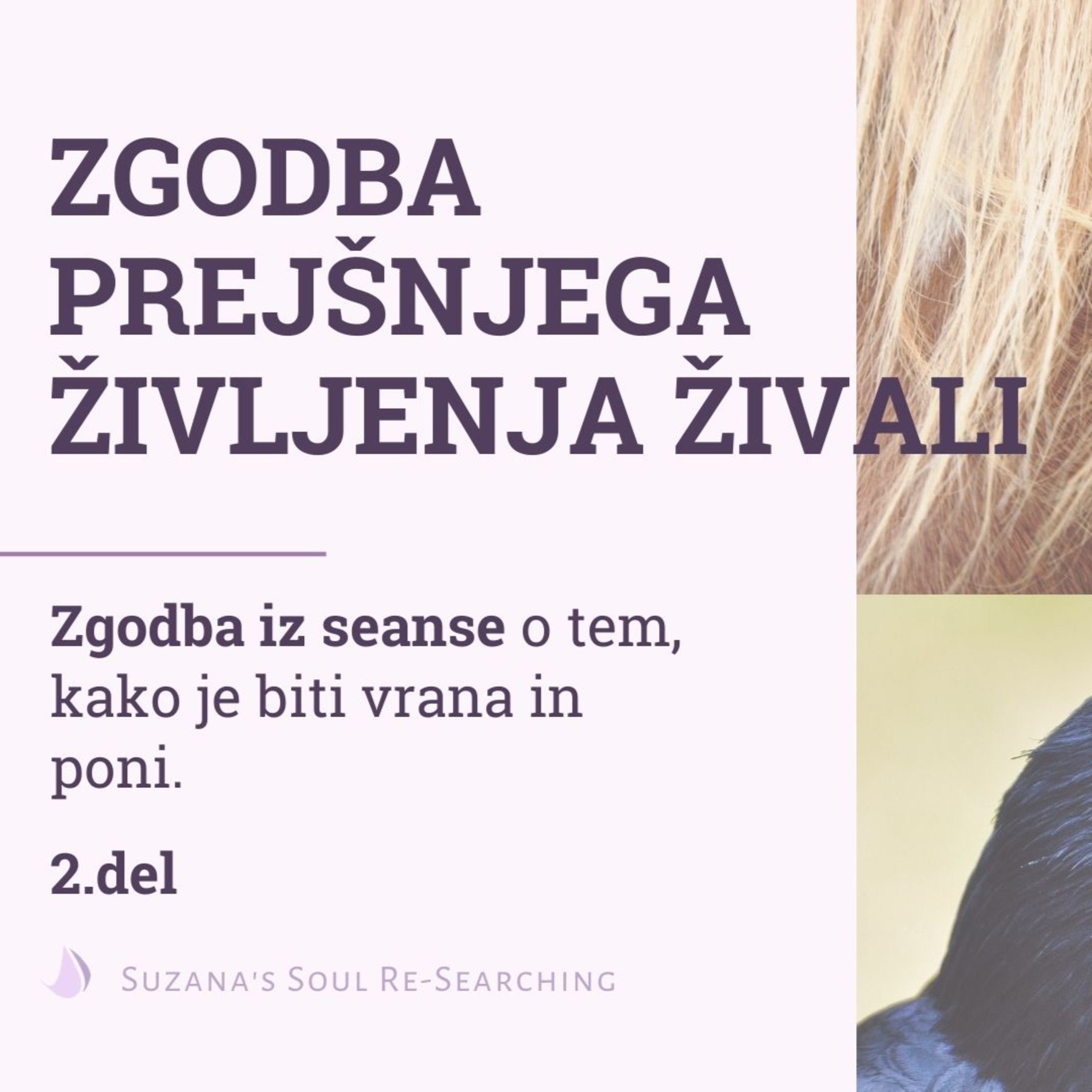 Suzana\'s Soul Re-Searching