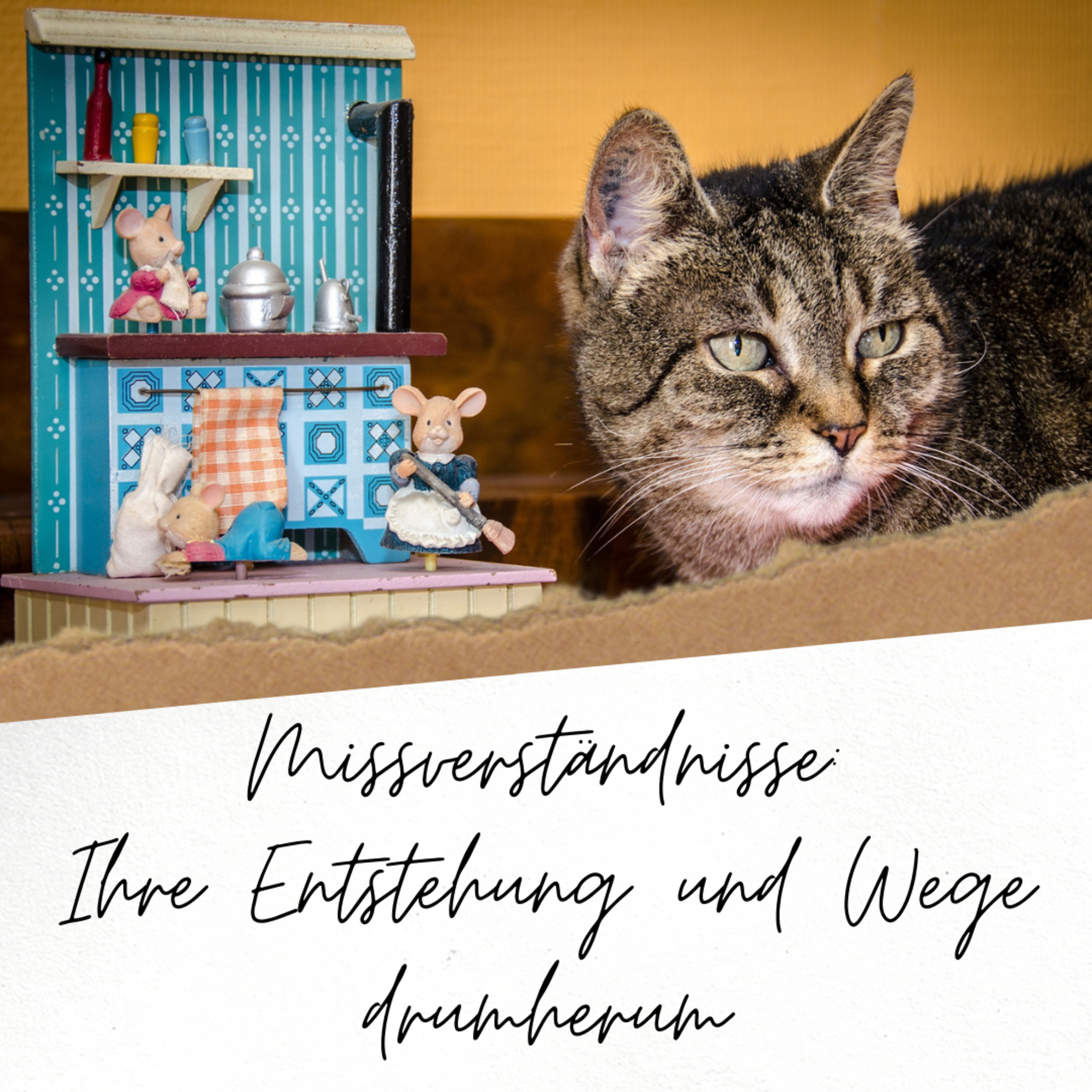 Soft Skills & Co. für Tierärzte