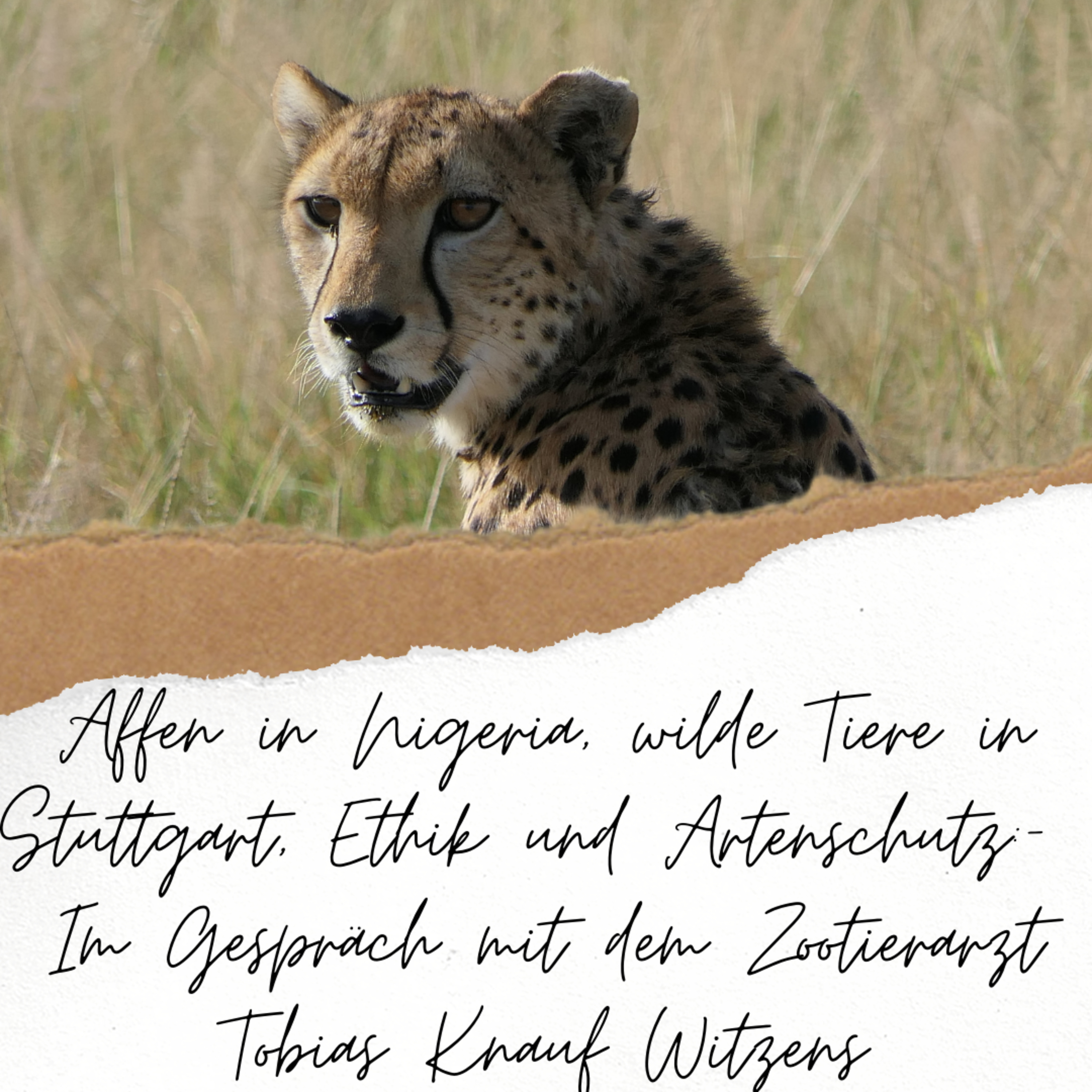 Soft Skills & Co. für Tierärzte