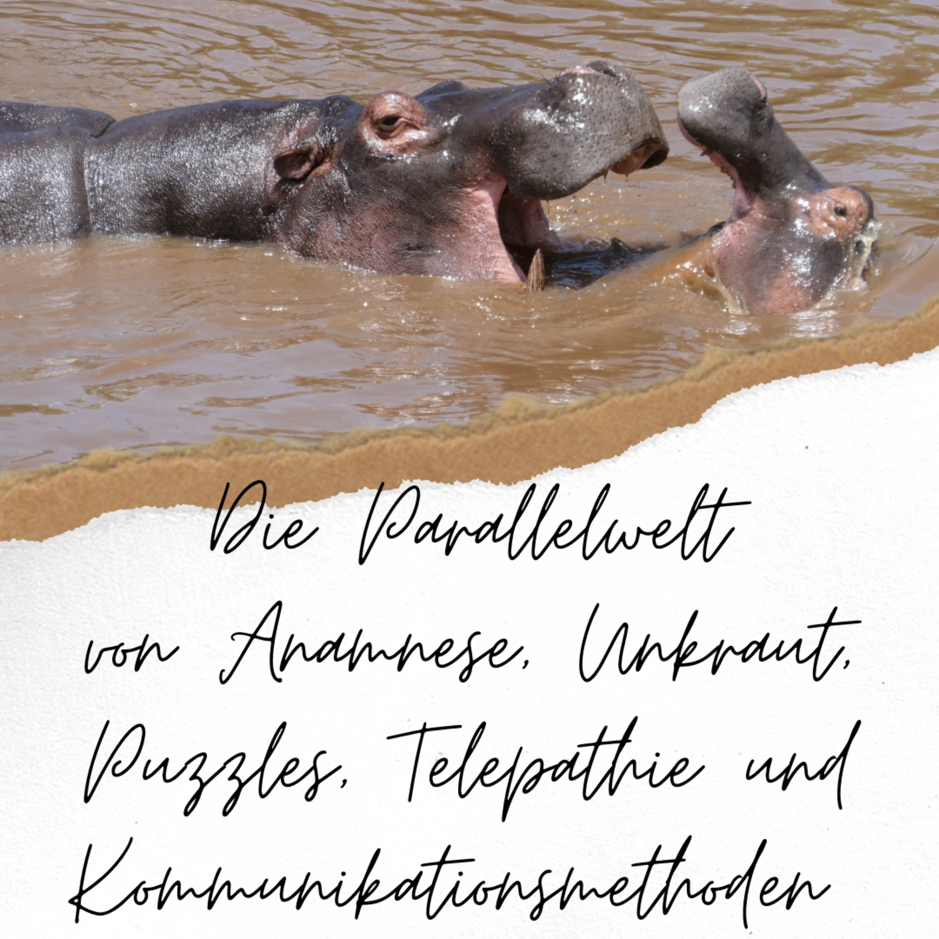 Soft Skills & Co. für Tierärzte