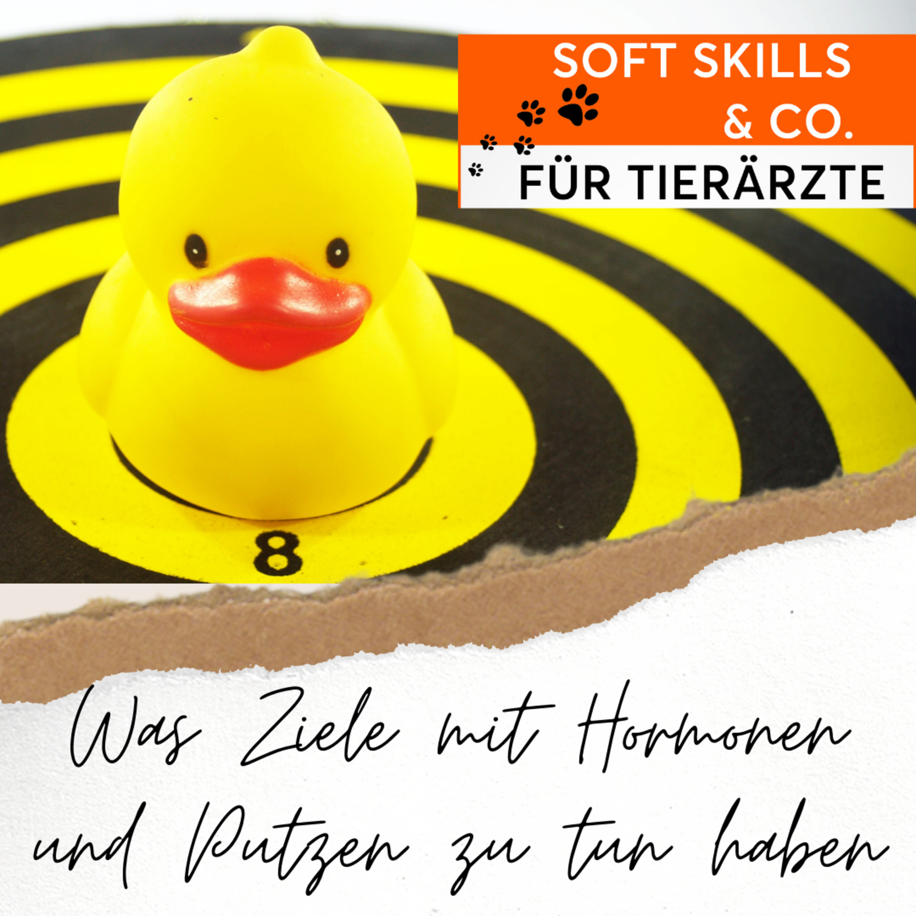 Soft Skills & Co. für Tierärzte