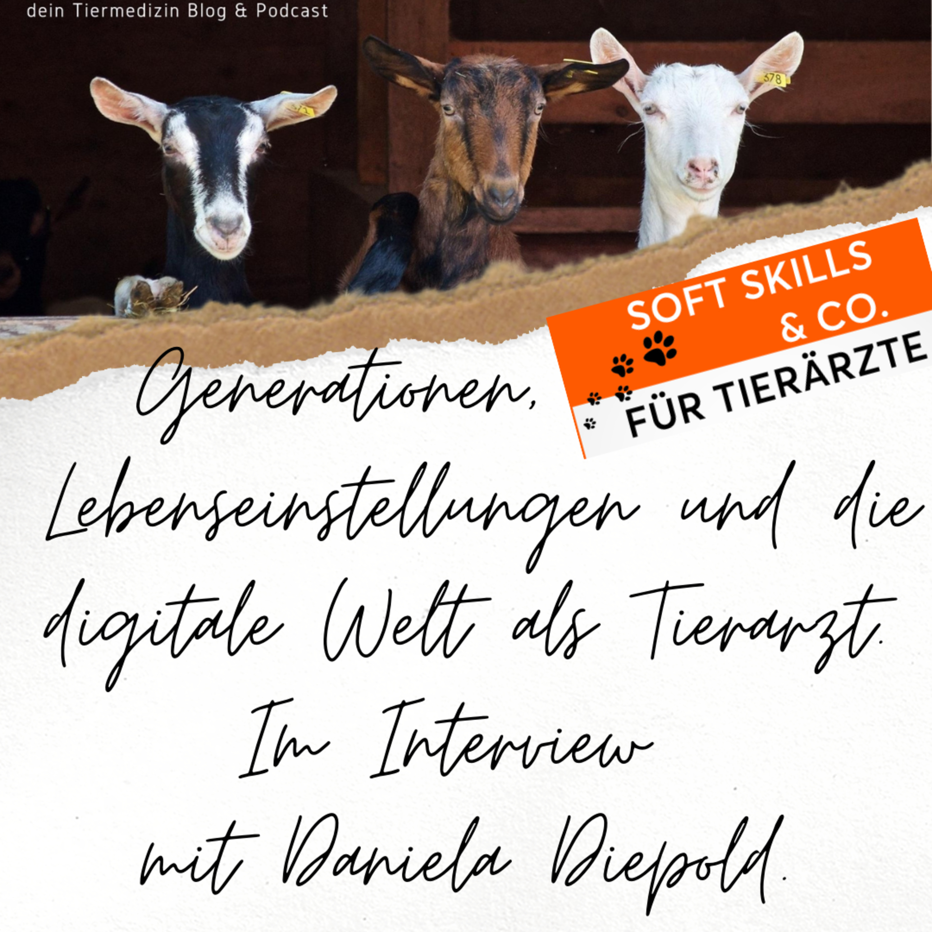 Soft Skills & Co. für Tierärzte