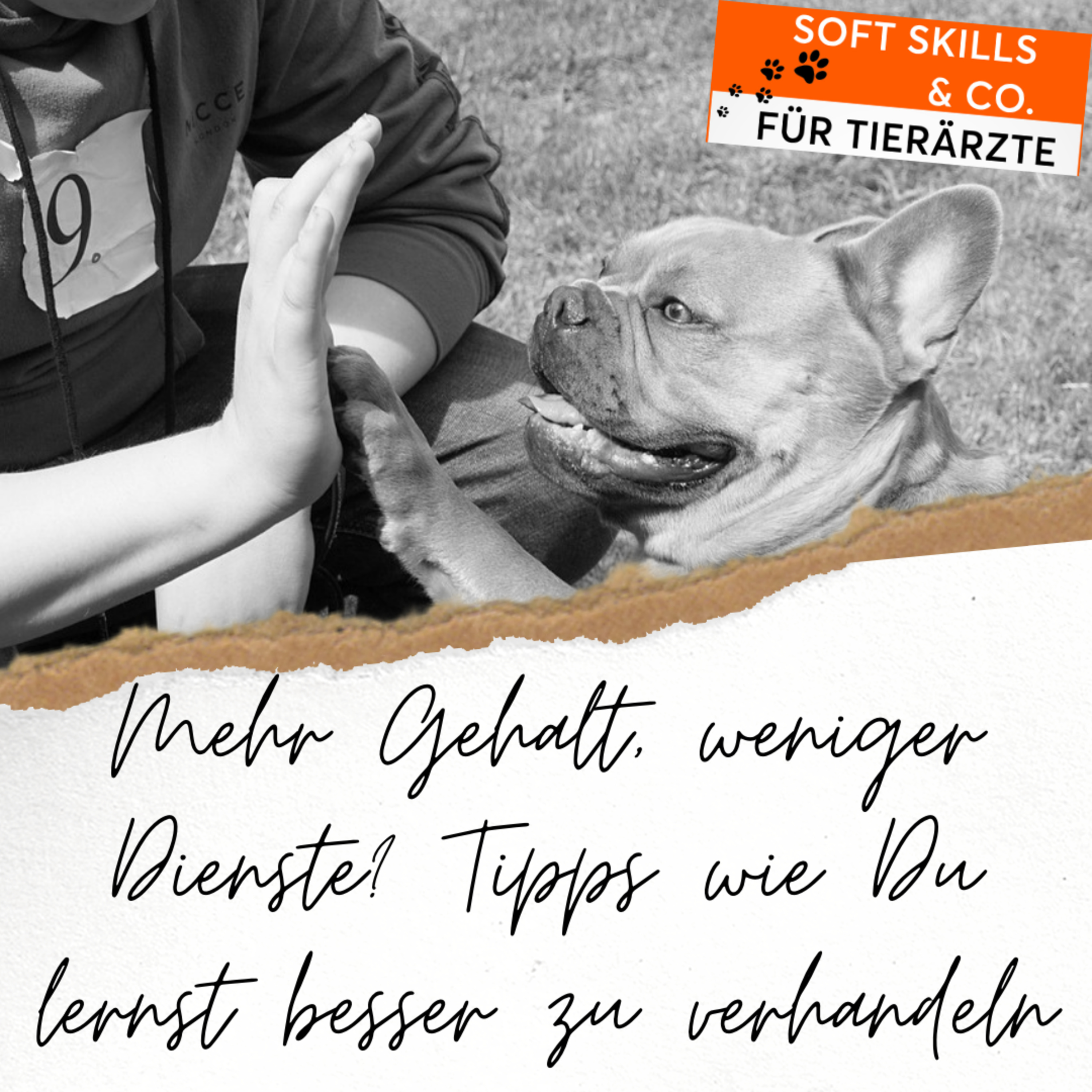 Soft Skills & Co. für Tierärzte