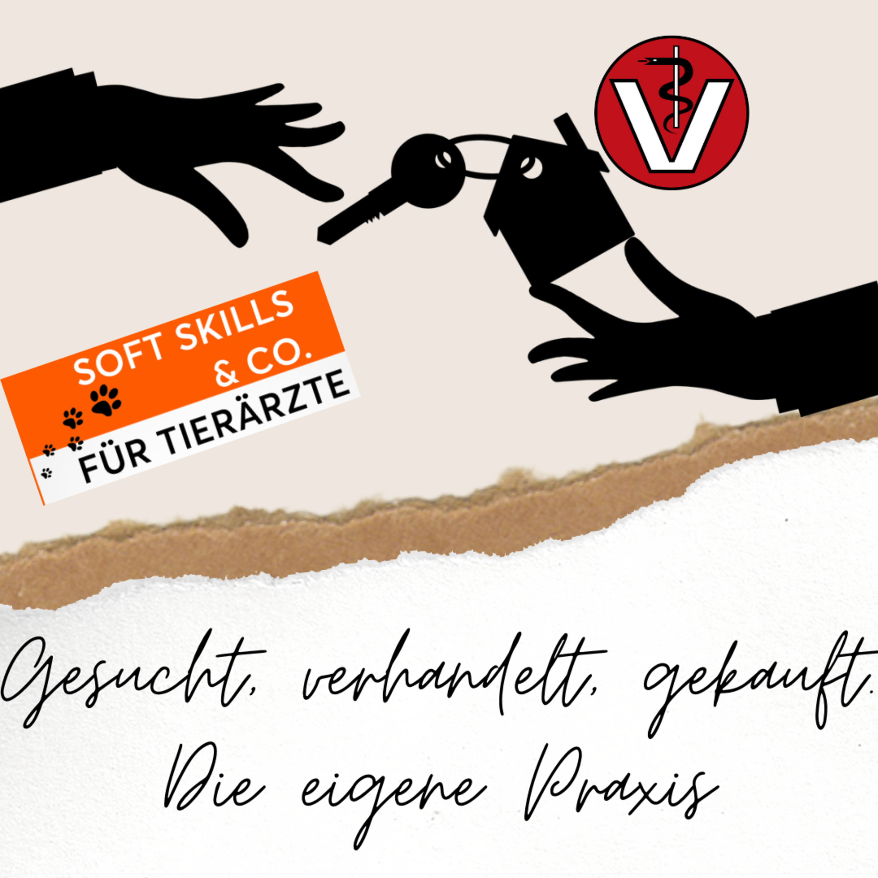 Soft Skills & Co. für Tierärzte