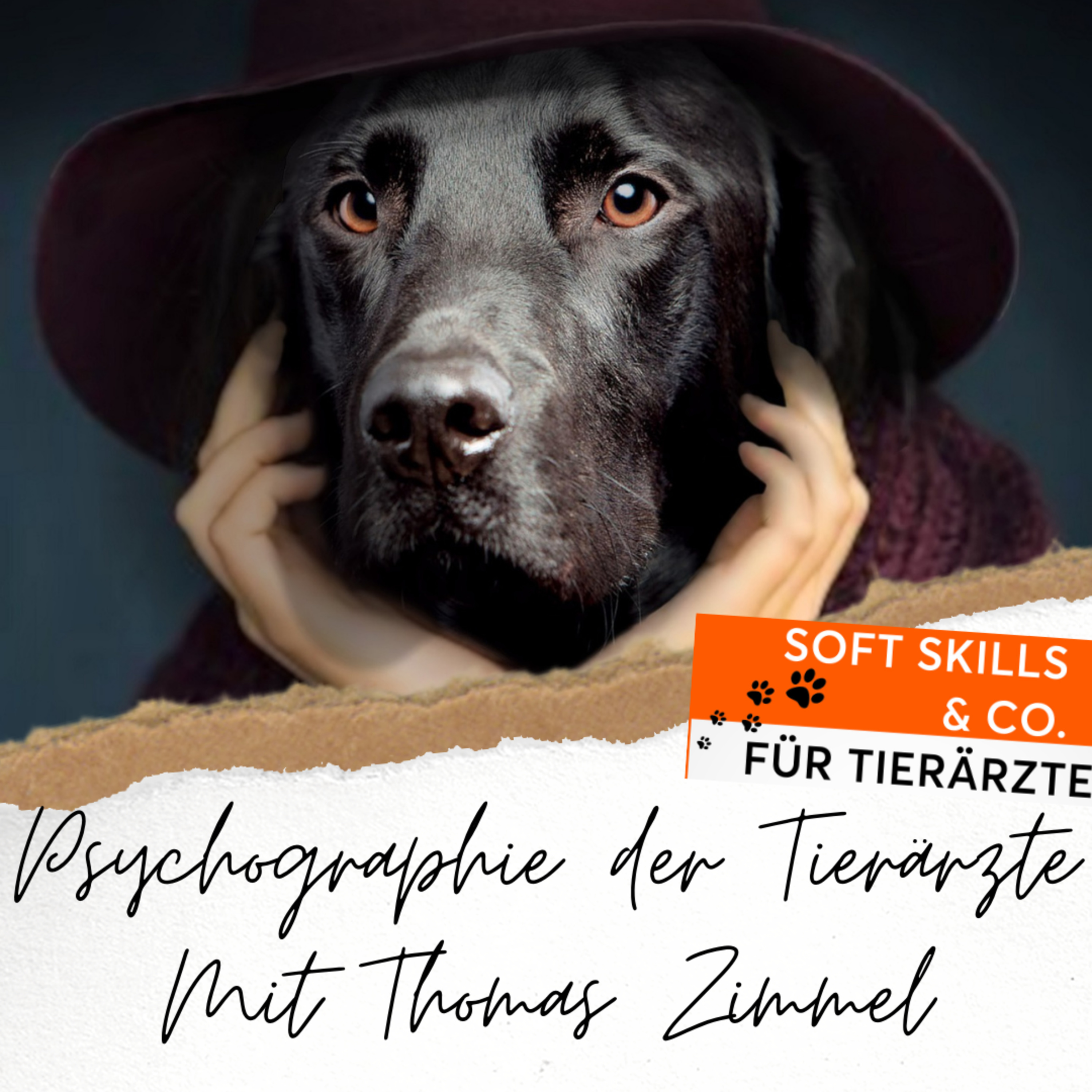 Soft Skills & Co. für Tierärzte