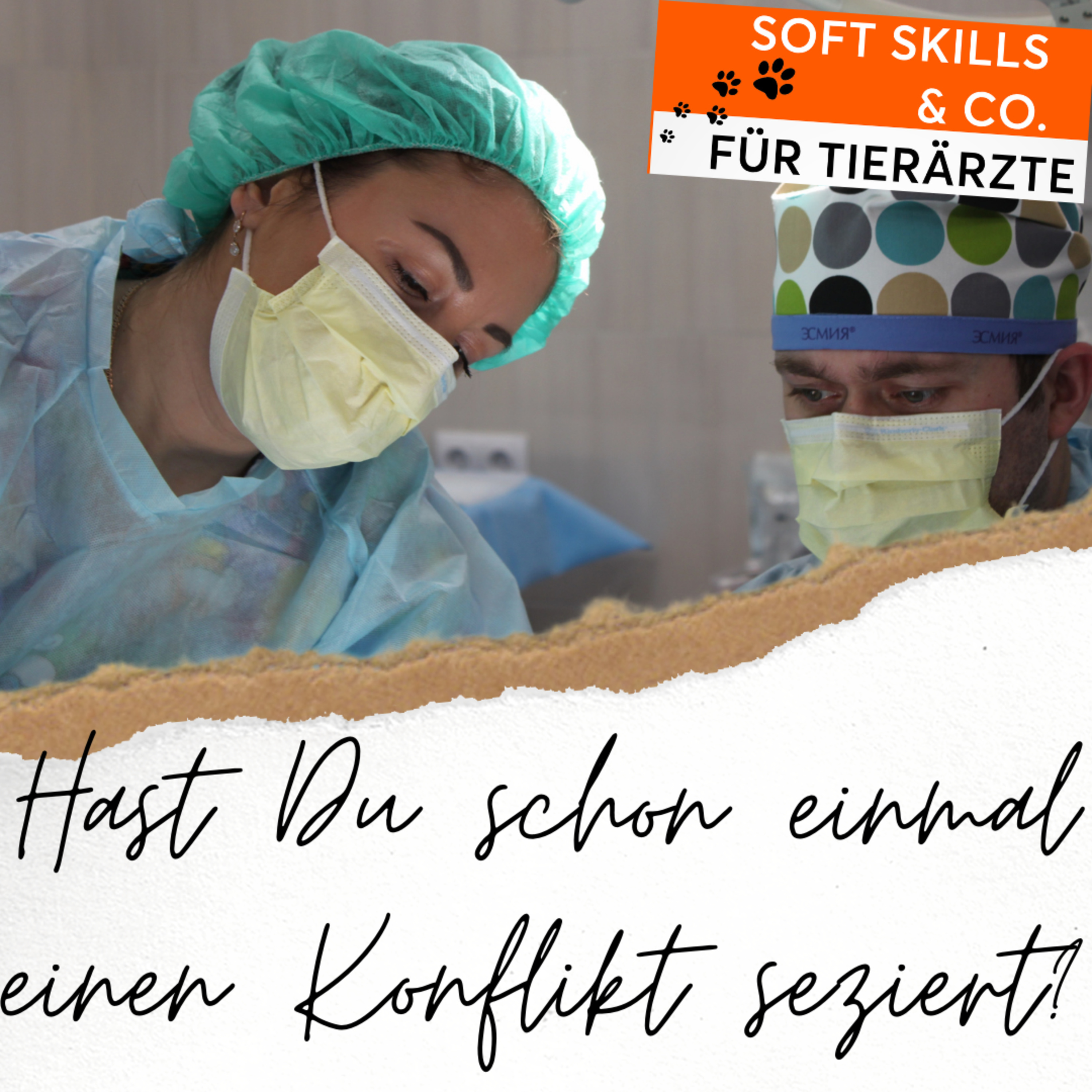 Soft Skills & Co. für Tierärzte