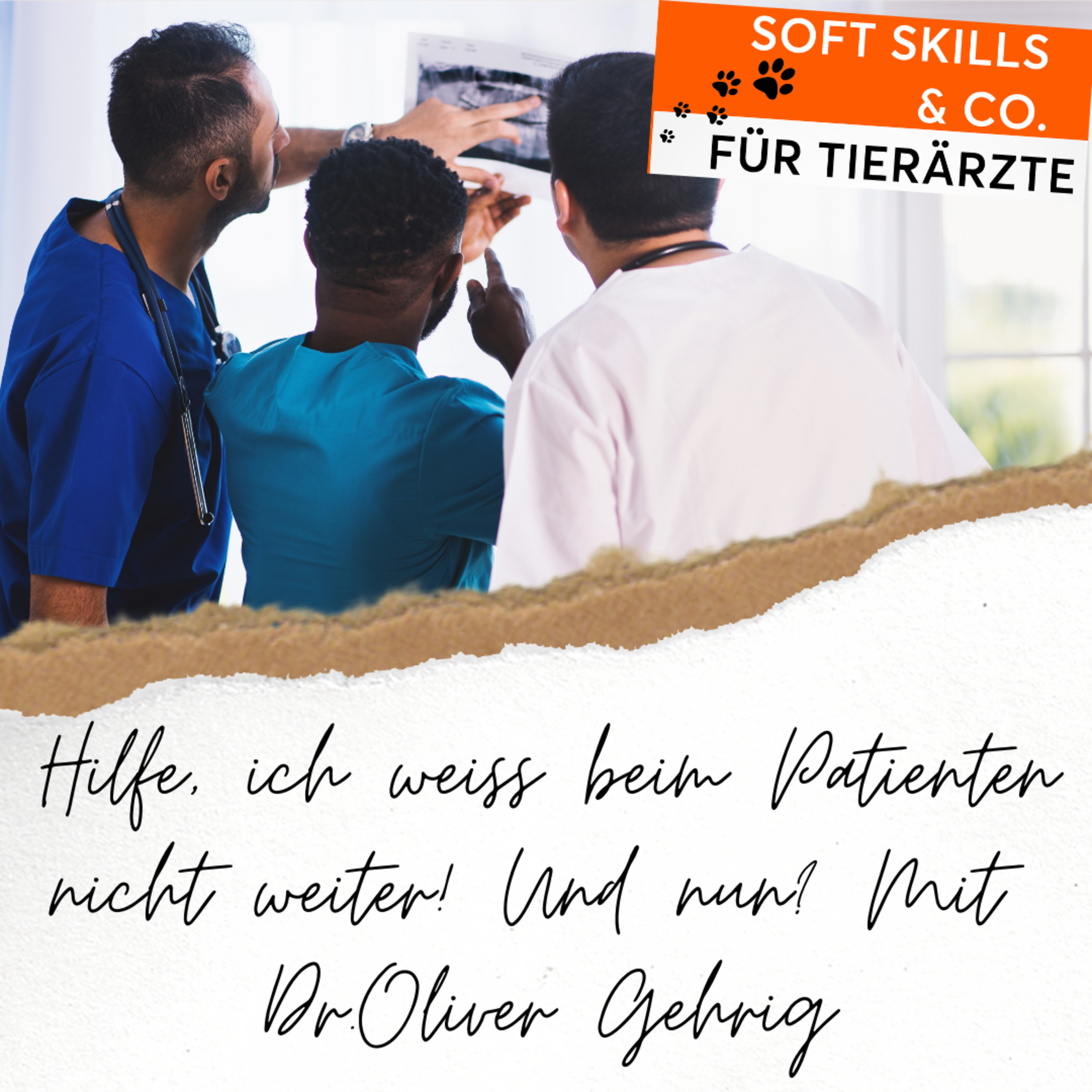 Soft Skills & Co. für Tierärzte