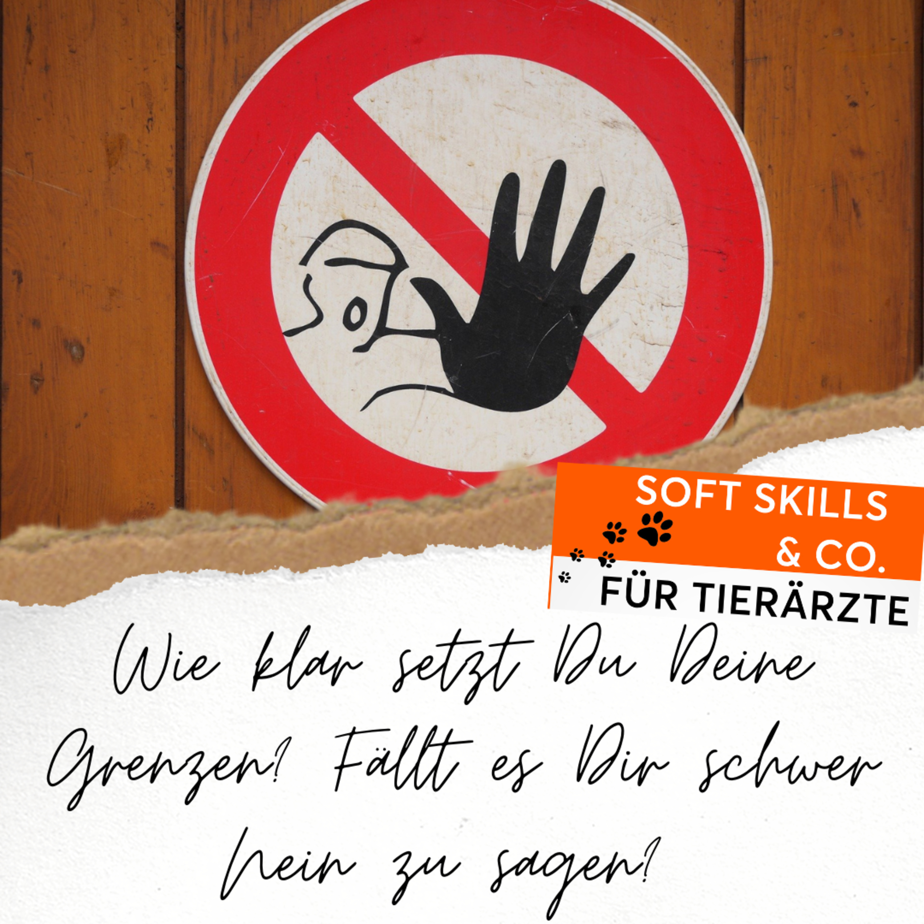 Soft Skills & Co. für Tierärzte