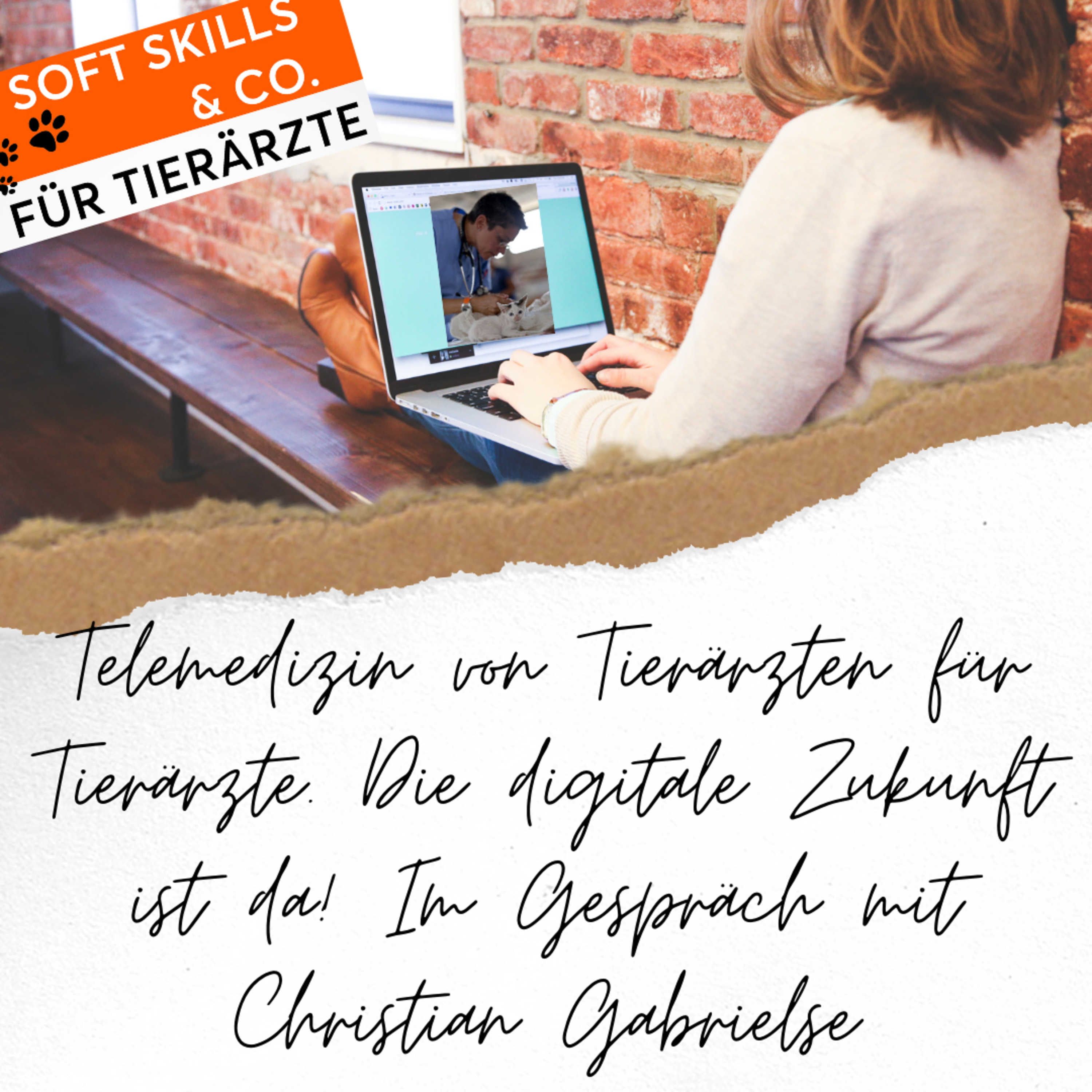 Soft Skills & Co. für Tierärzte