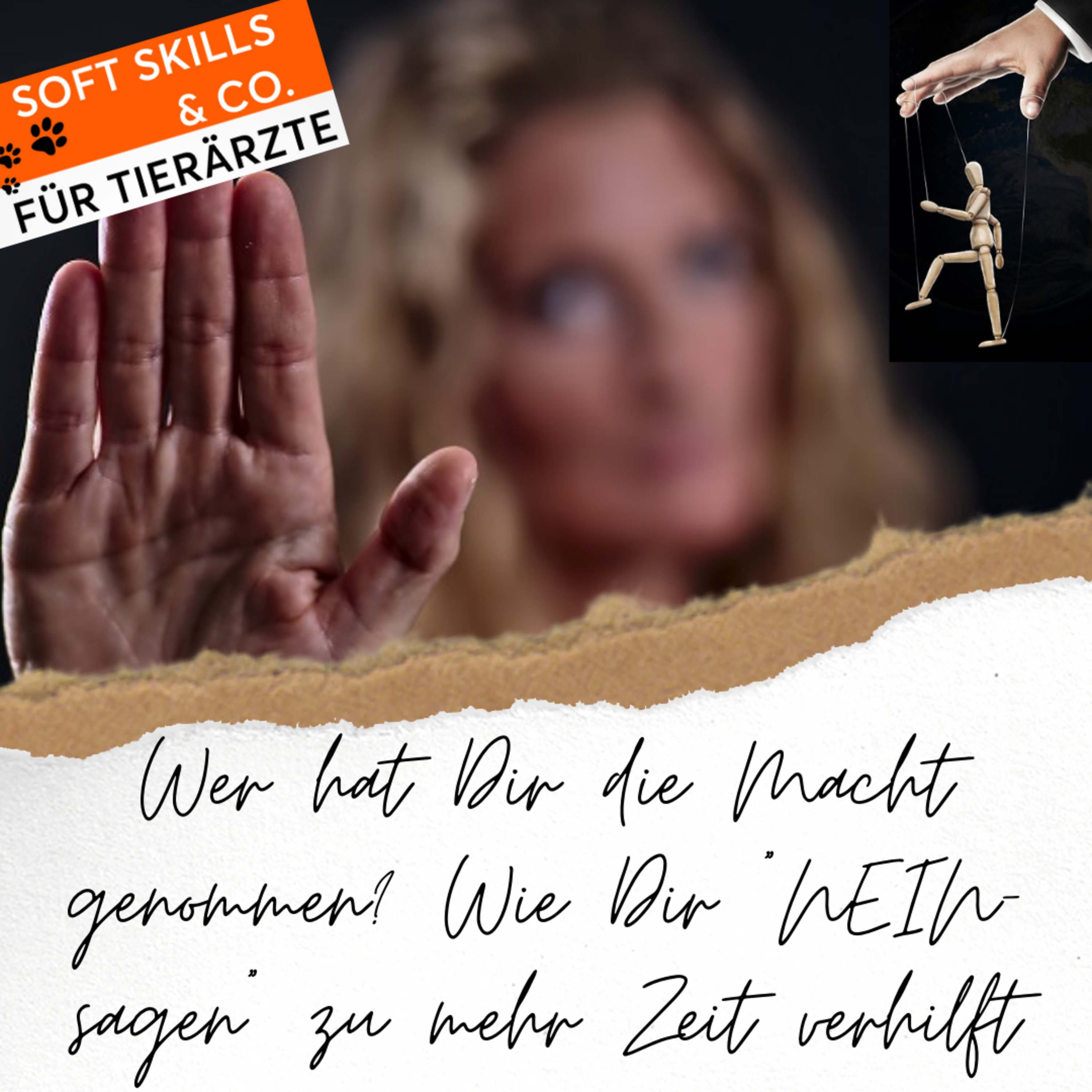 Soft Skills & Co. für Tierärzte