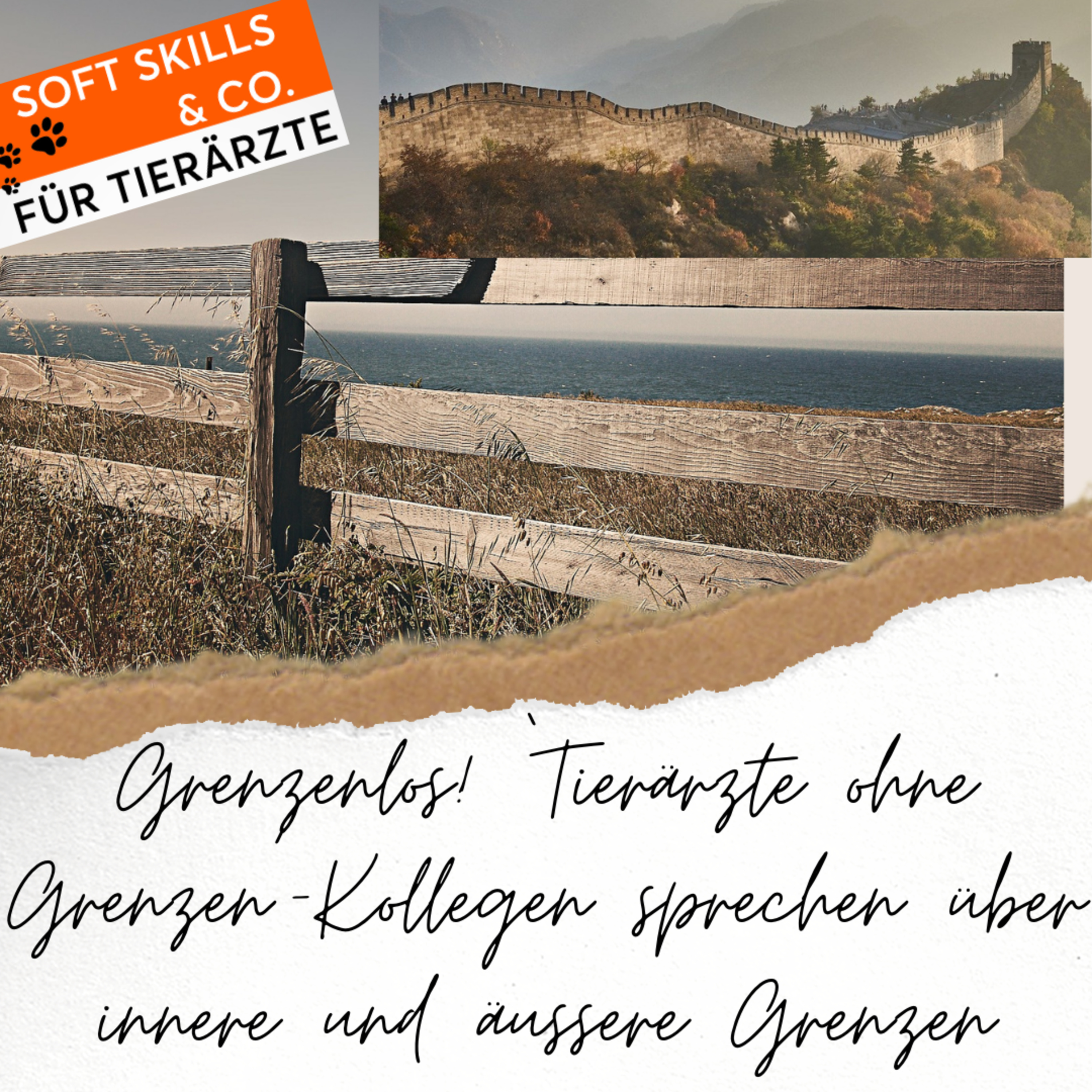 Soft Skills & Co. für Tierärzte