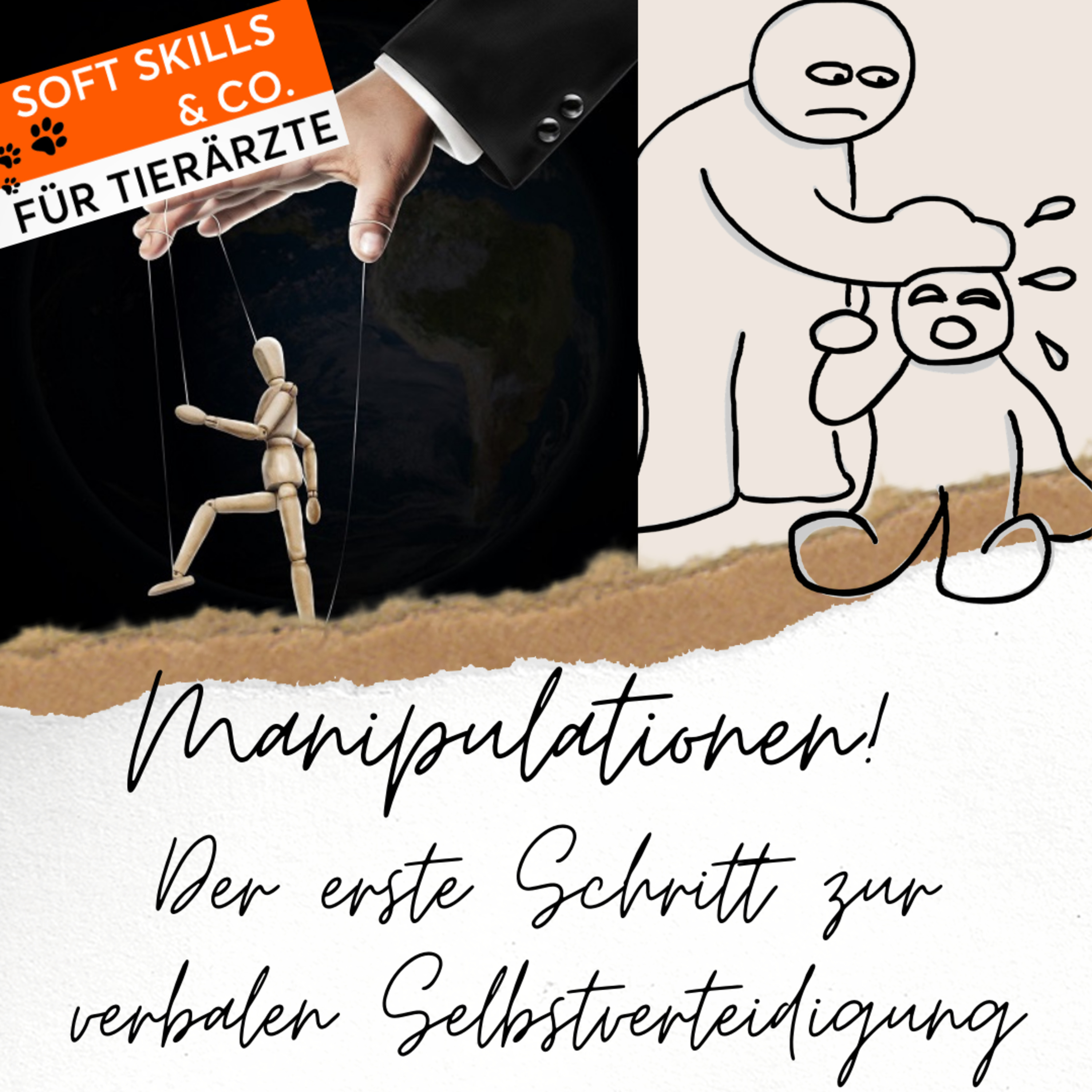 Soft Skills & Co. für Tierärzte
