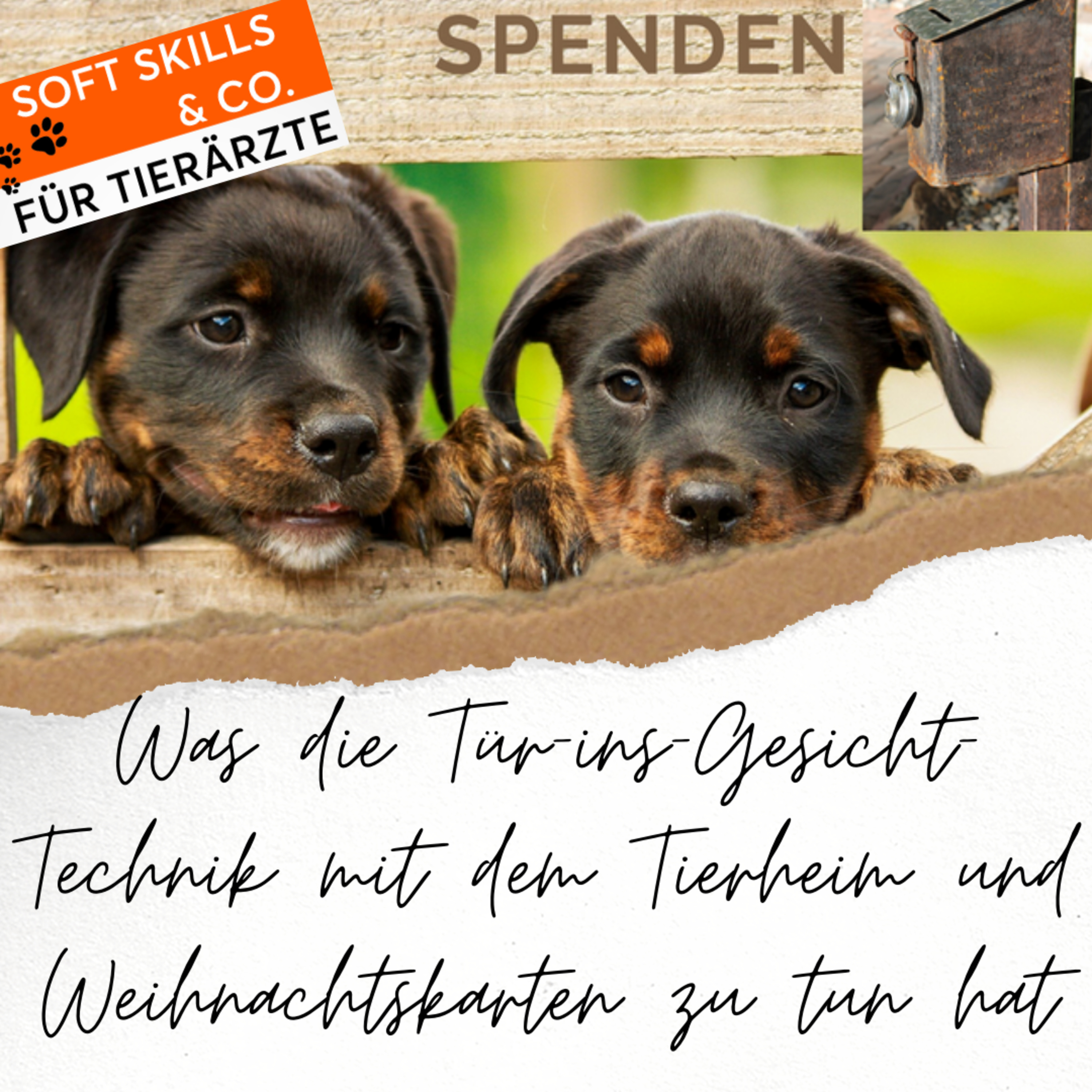 Soft Skills & Co. für Tierärzte