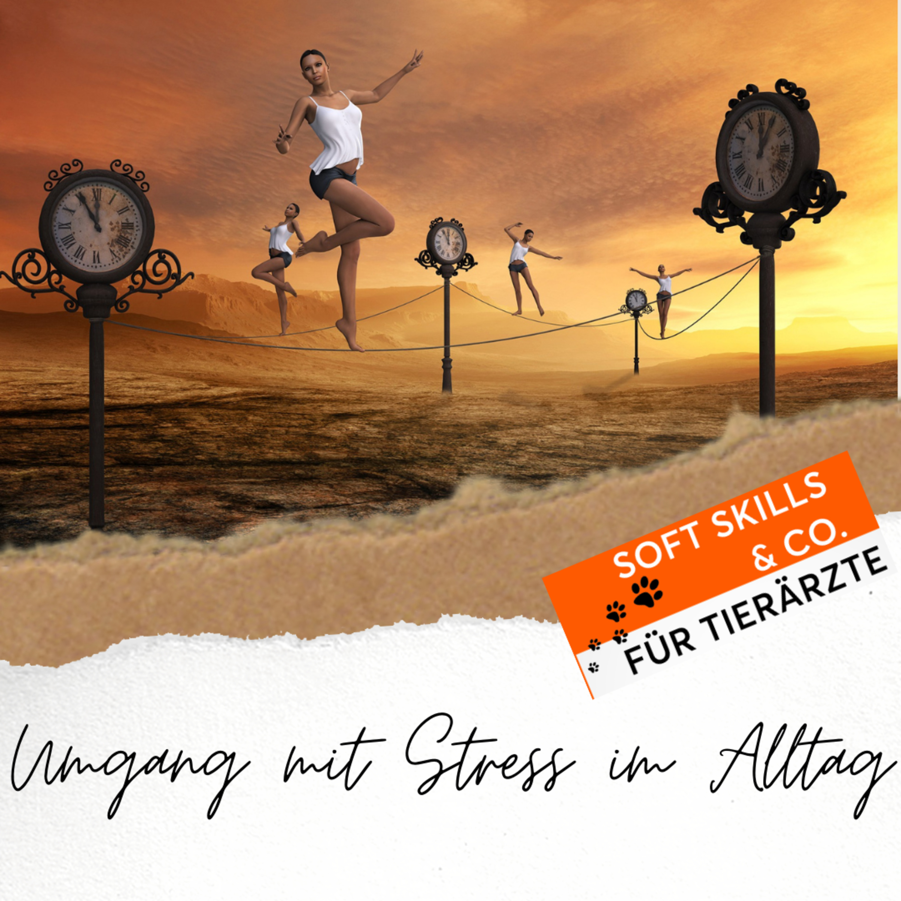 Soft Skills & Co. für Tierärzte