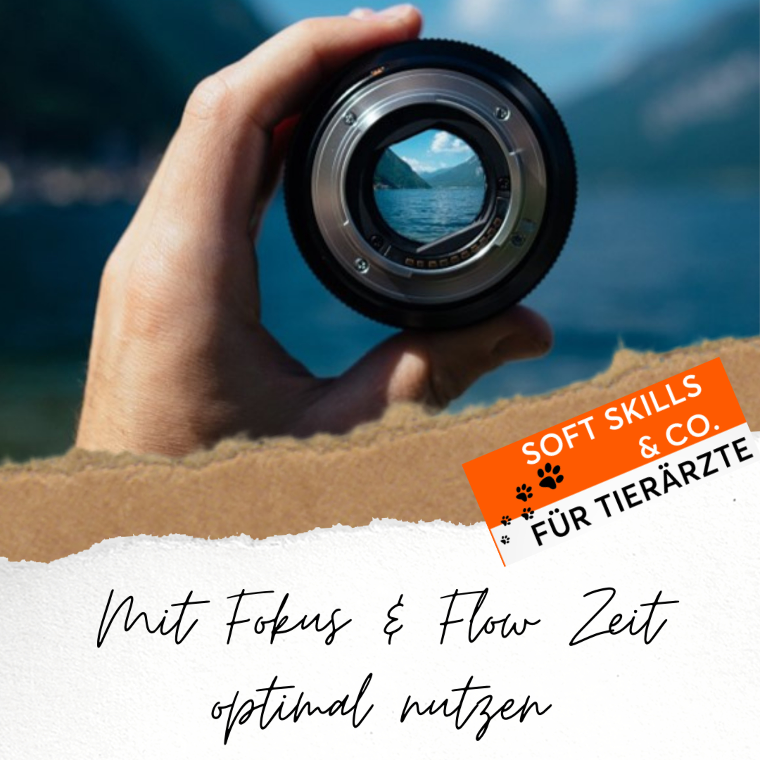 Soft Skills & Co. für Tierärzte