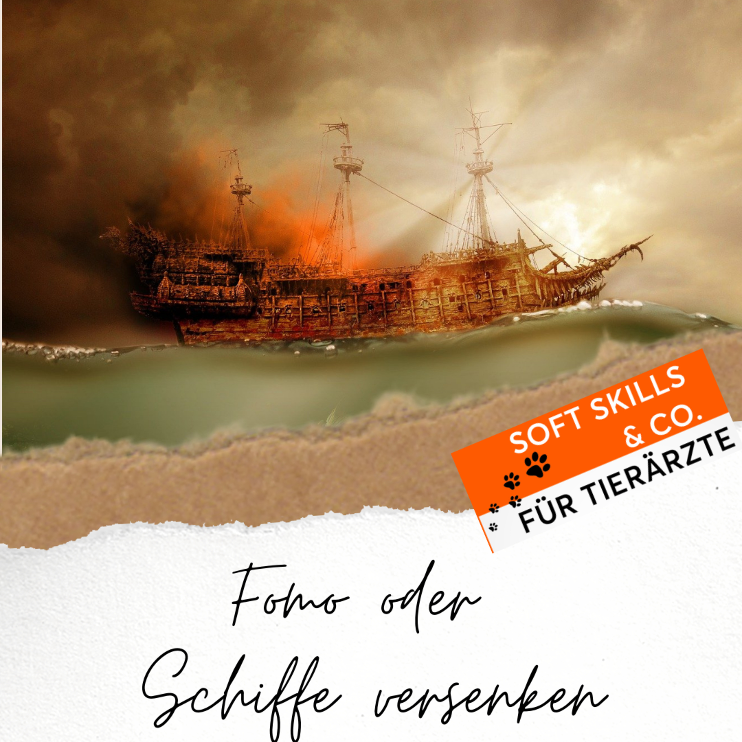 Soft Skills & Co. für Tierärzte