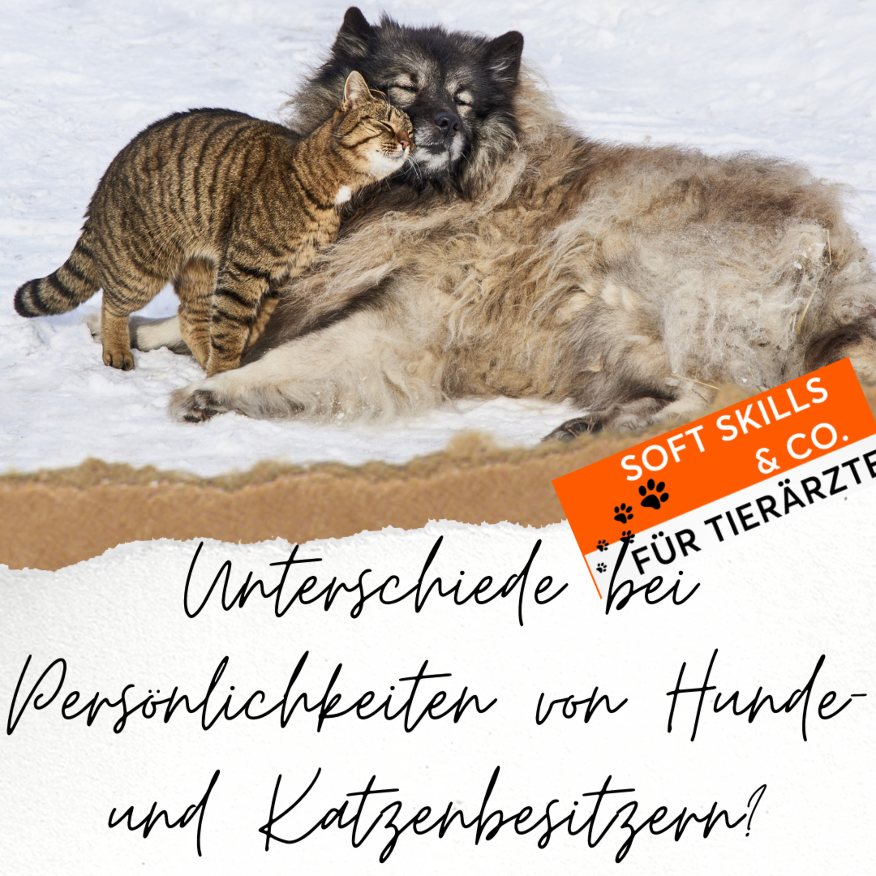 Soft Skills & Co. für Tierärzte