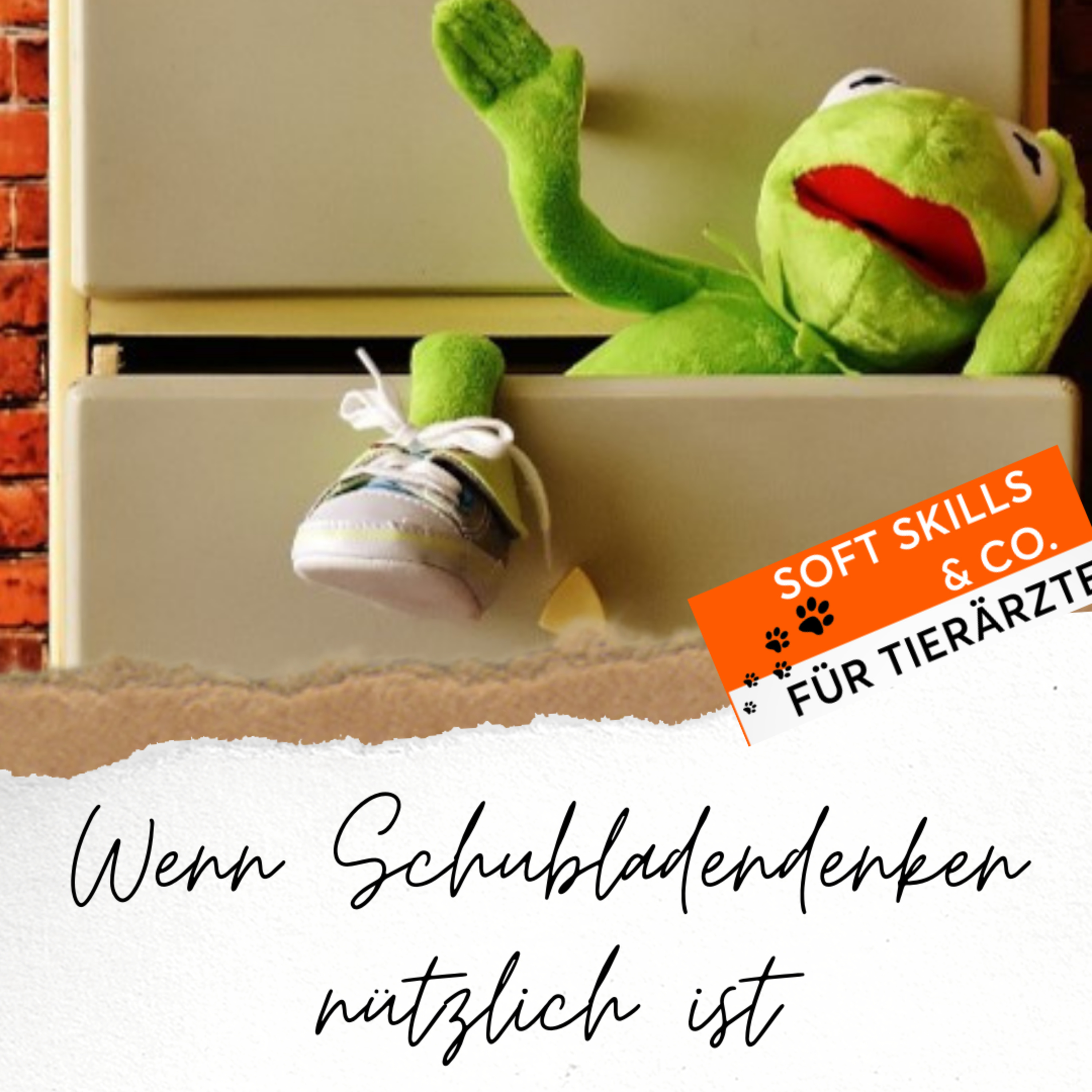 Soft Skills & Co. für Tierärzte