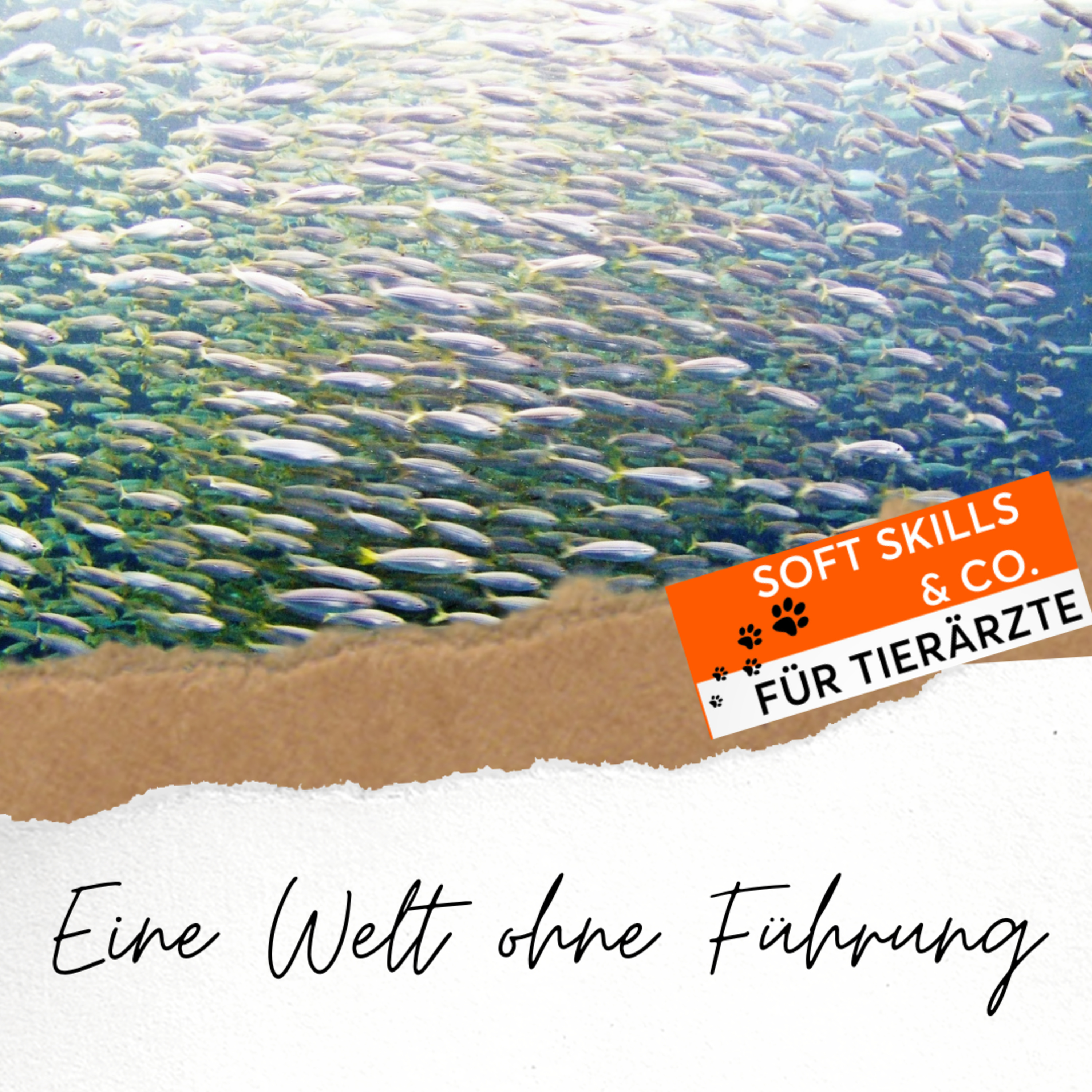 Soft Skills & Co. für Tierärzte