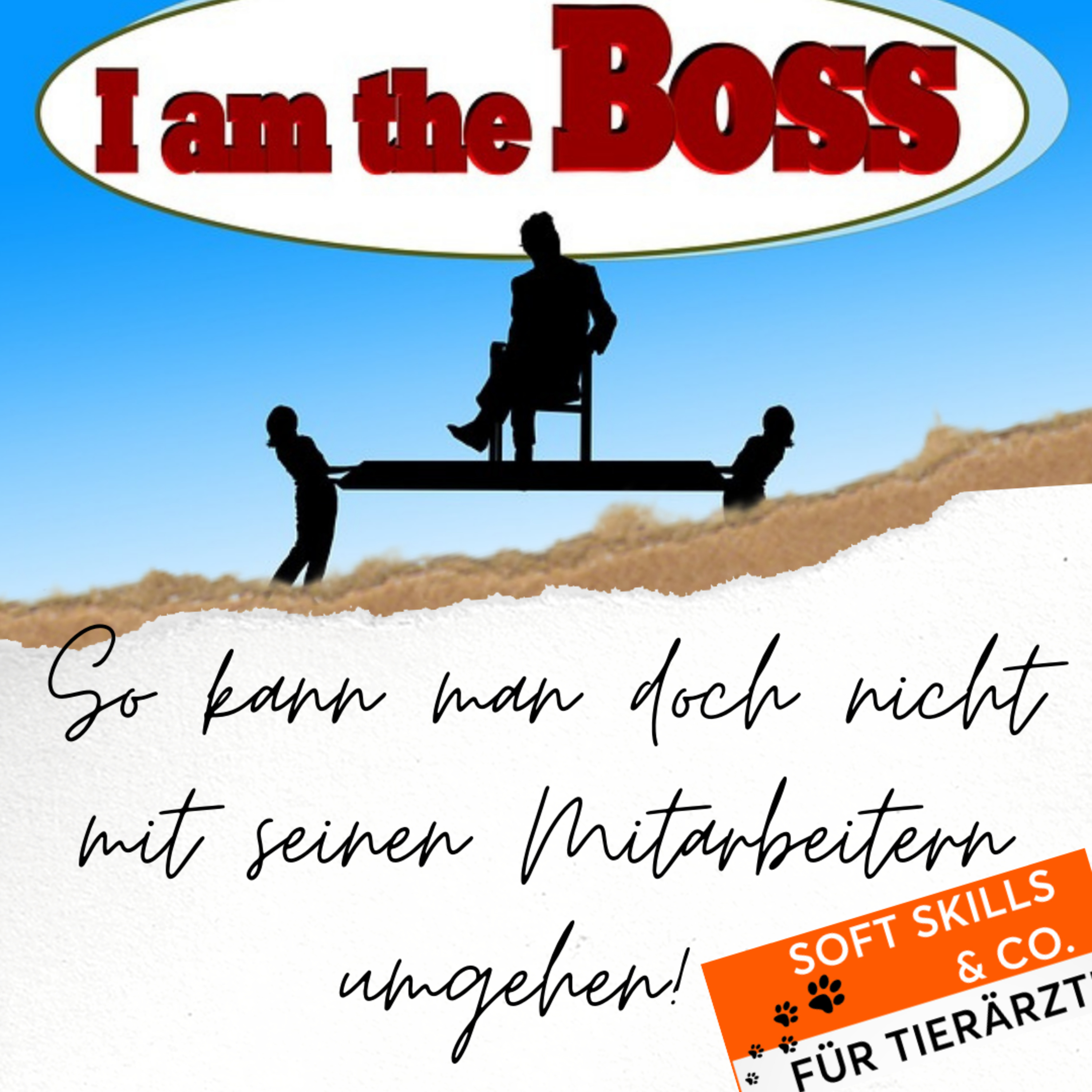Soft Skills & Co. für Tierärzte