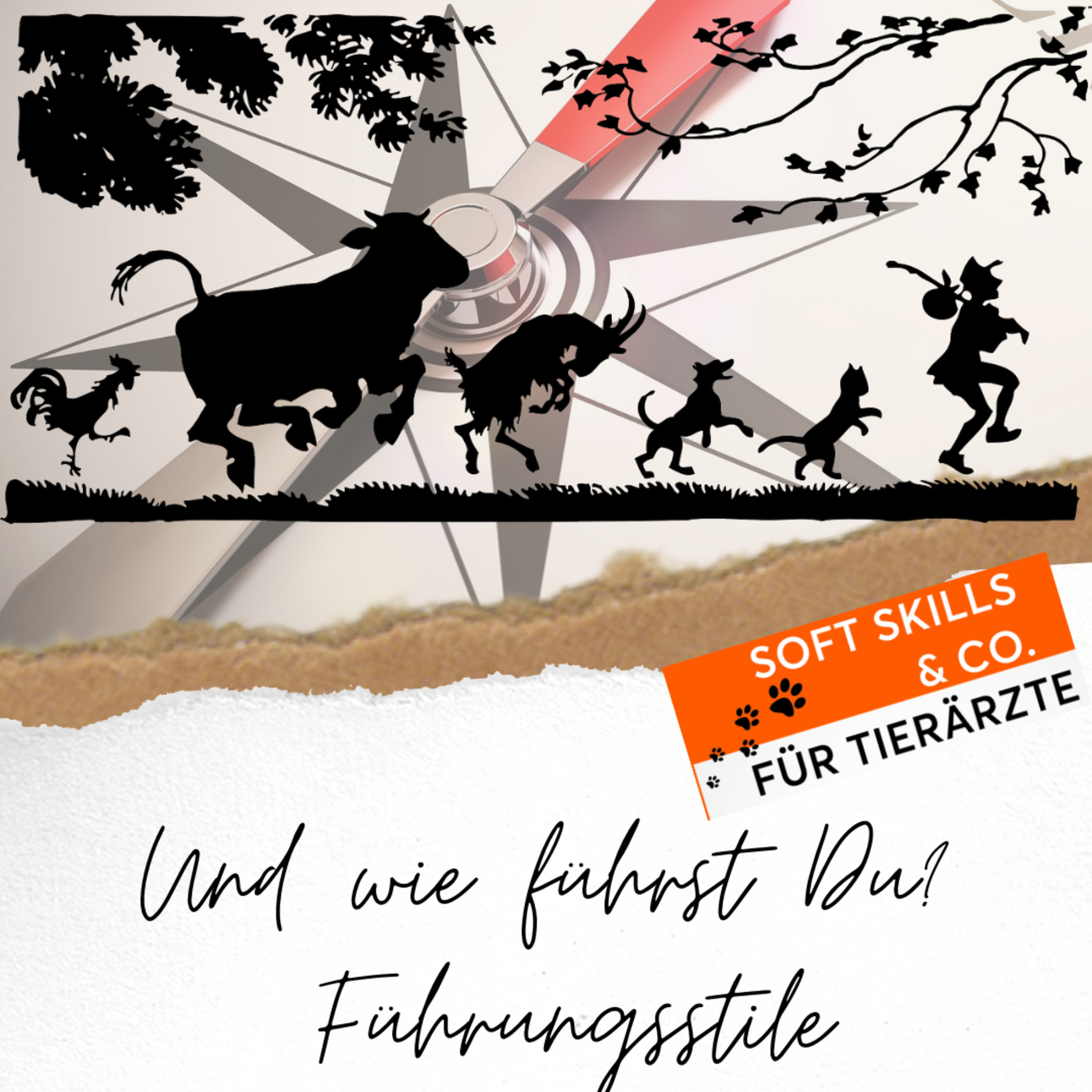 Soft Skills & Co. für Tierärzte