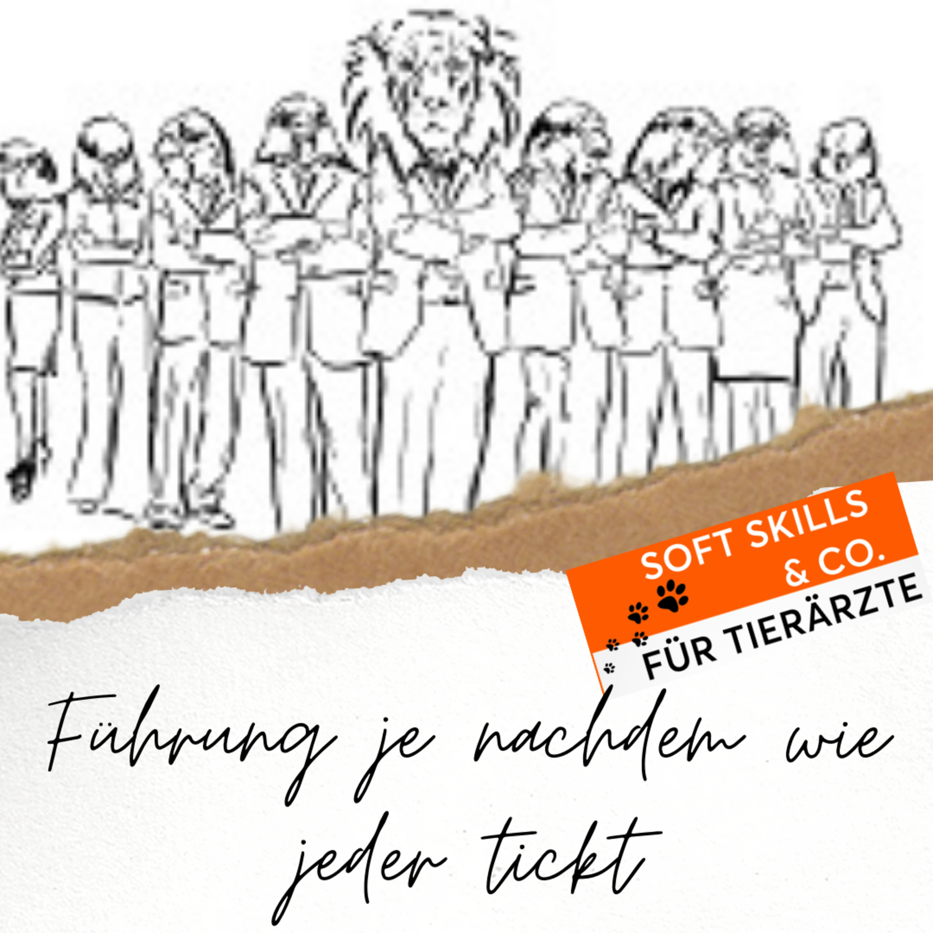 Soft Skills & Co. für Tierärzte
