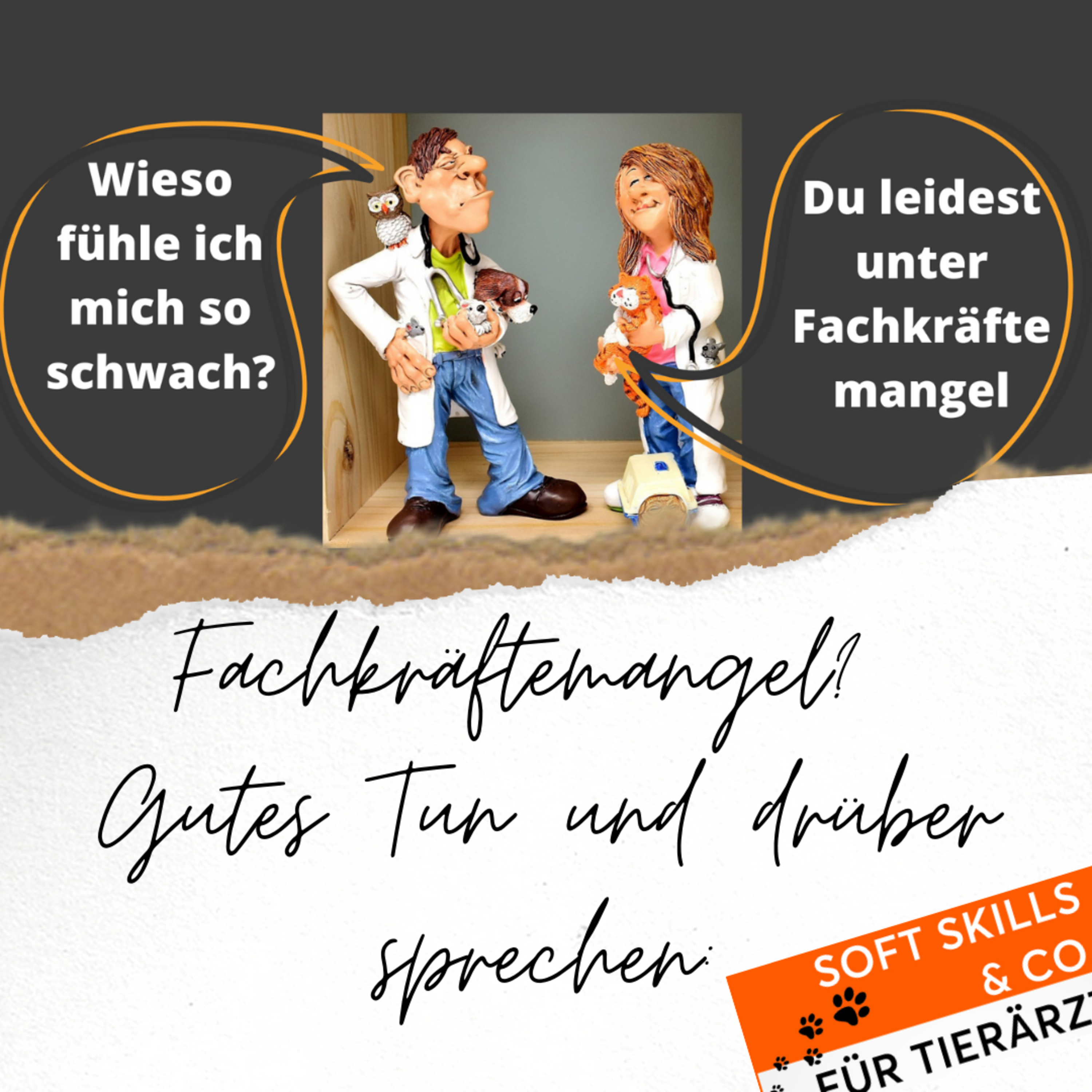 Soft Skills & Co. für Tierärzte