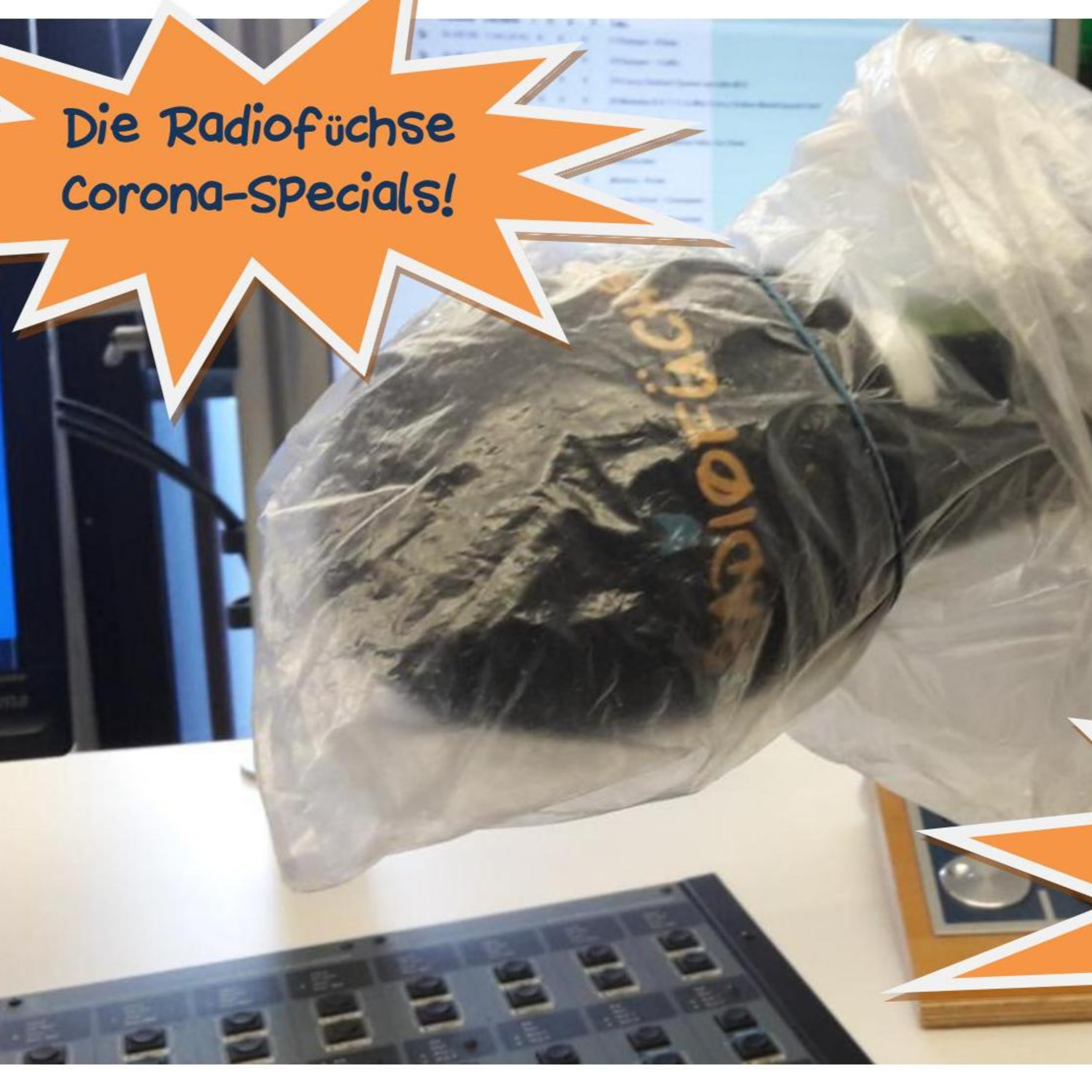 Radiofüchse