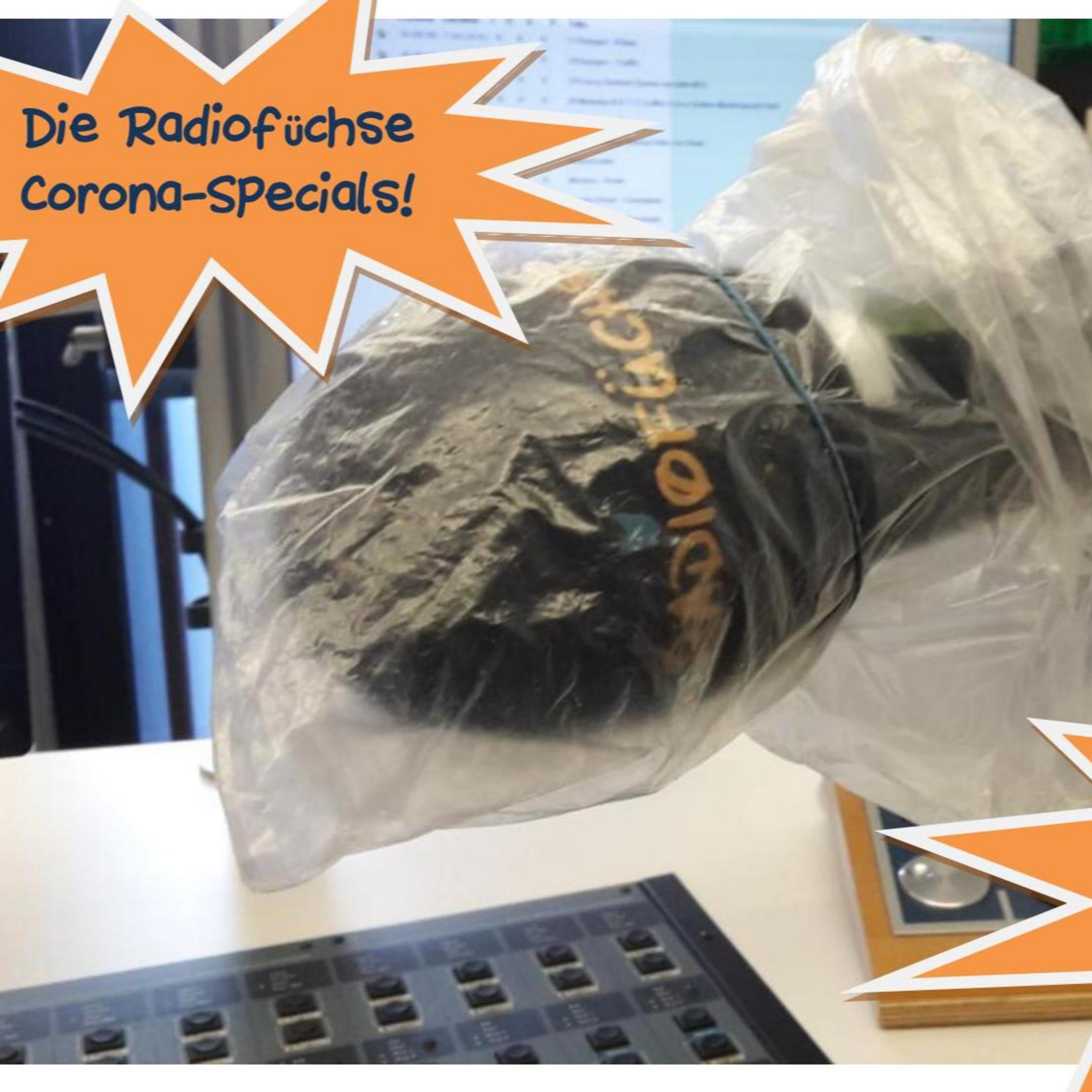 Radiofüchse