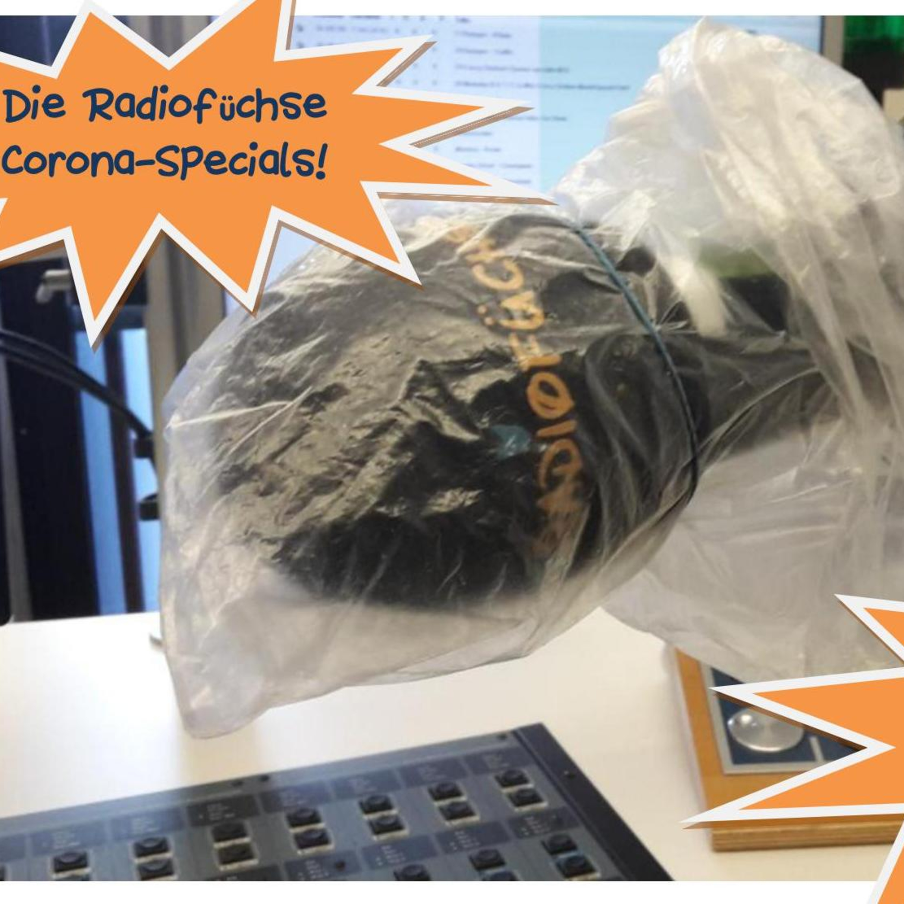 Radiofüchse