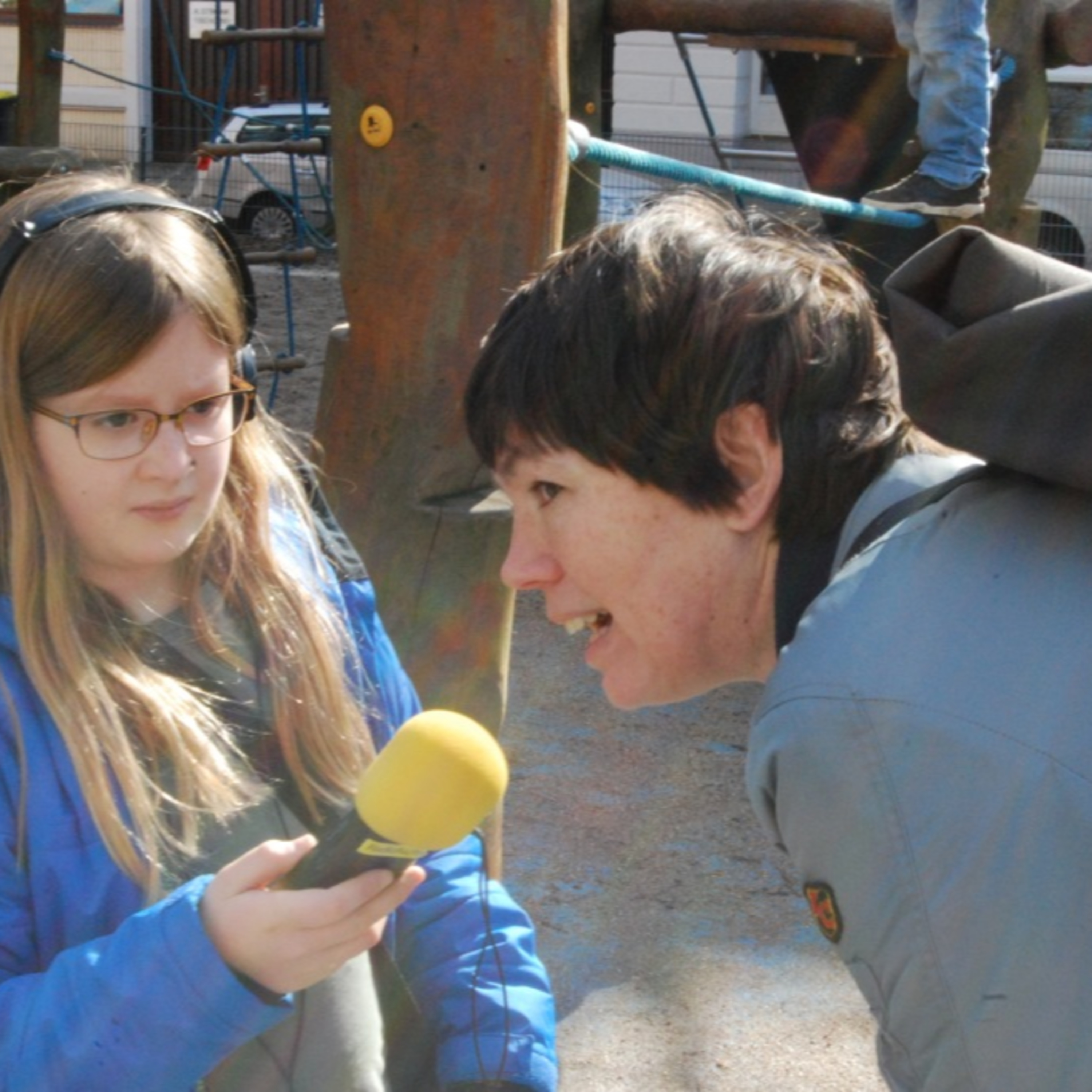 Radiofüchse