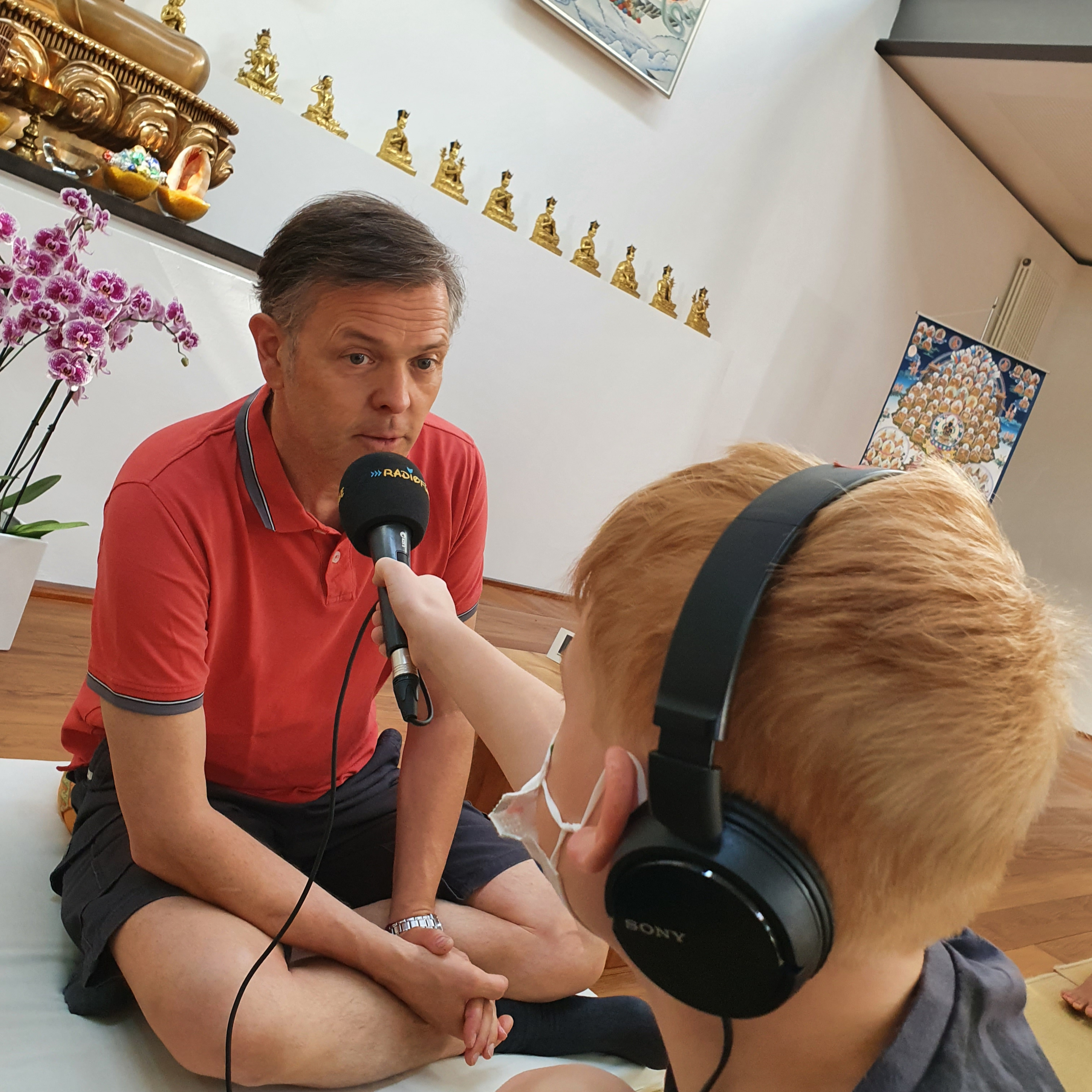 Radiofüchse
