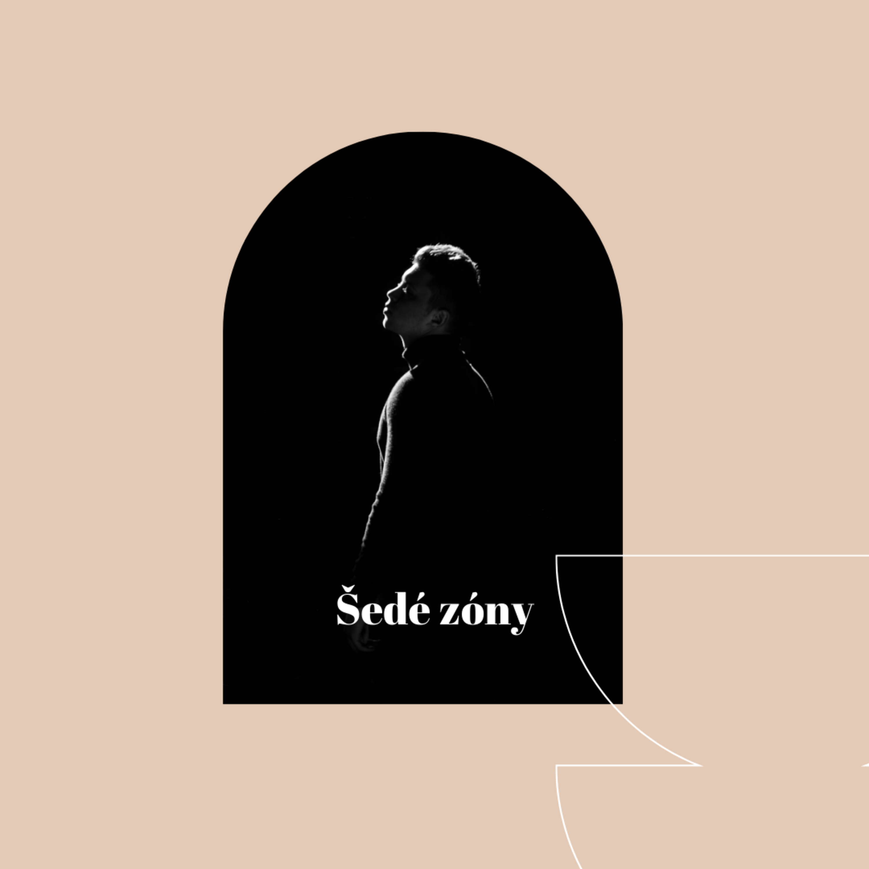 Šedé zóny v rozhodování  episode artwork