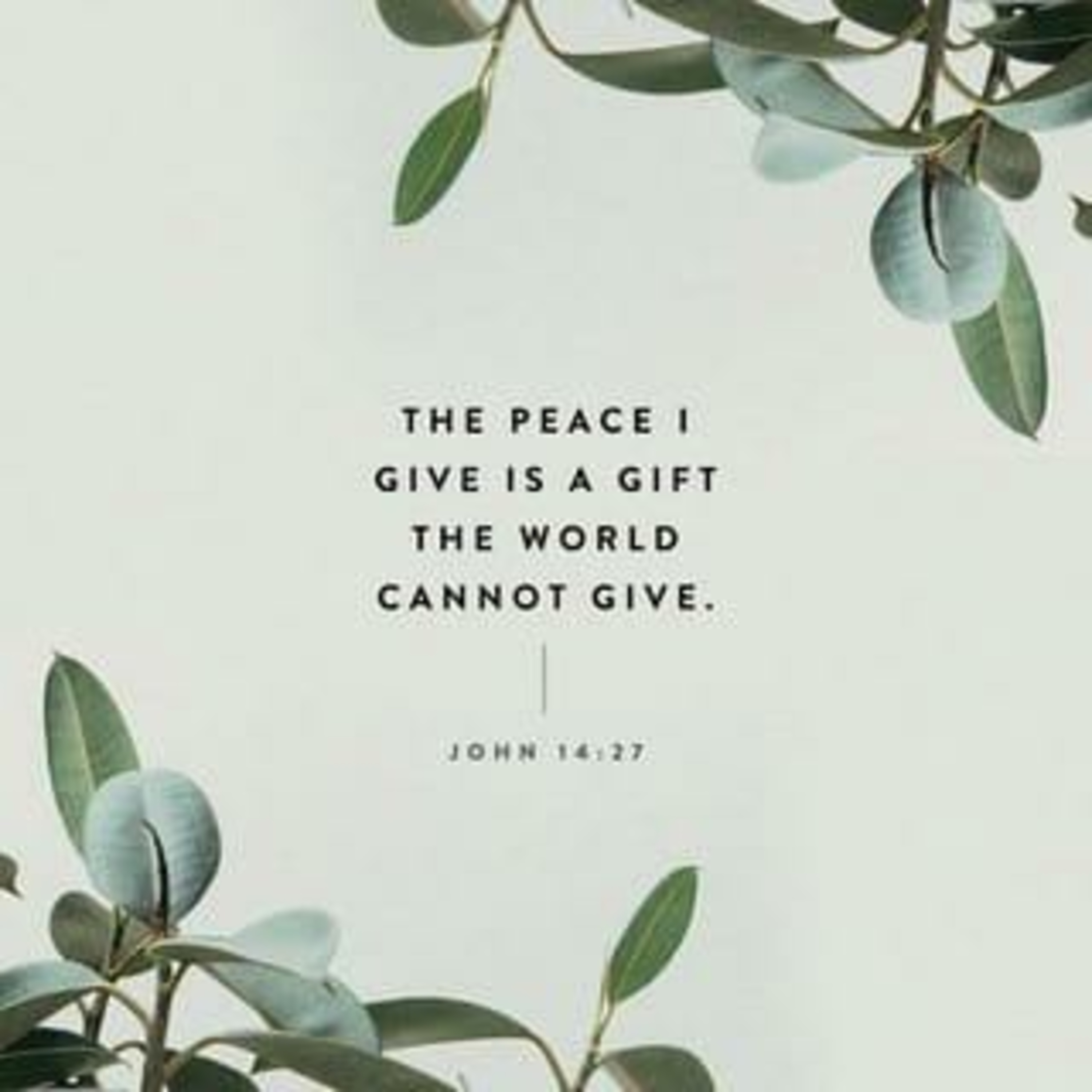 How to be Peaceful in Life? - English message