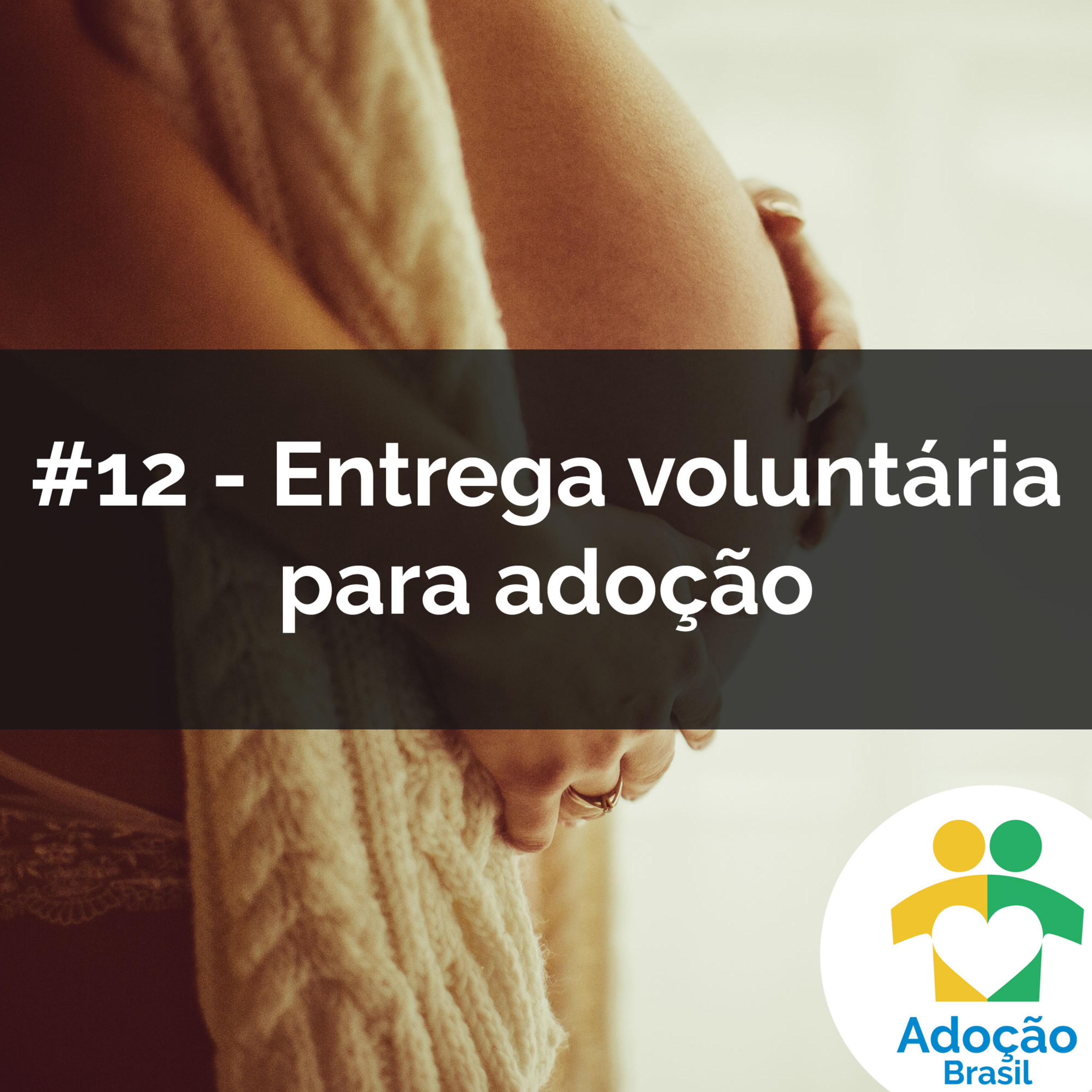 #12 - entrega voluntária para adoção