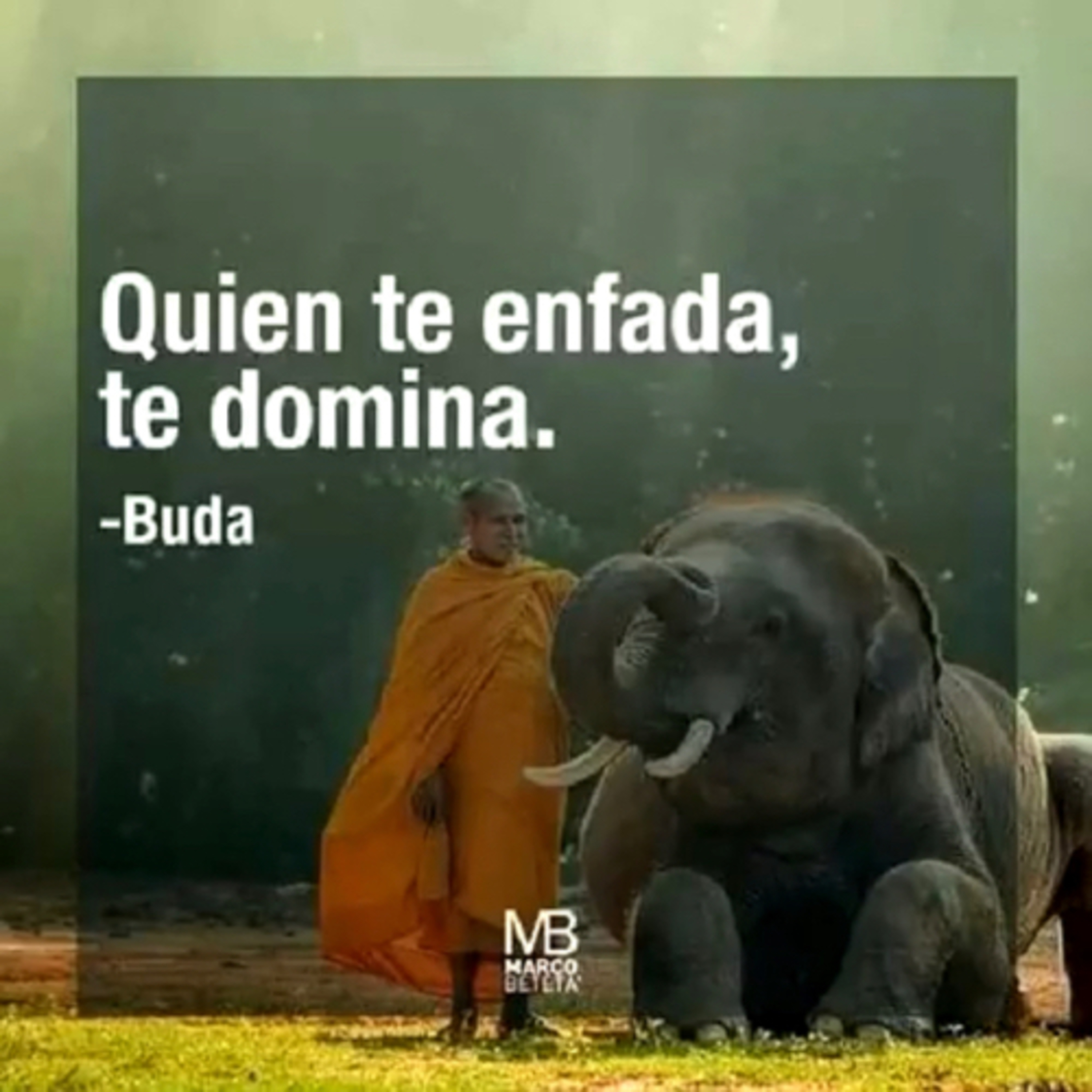 Portada de Intención del día